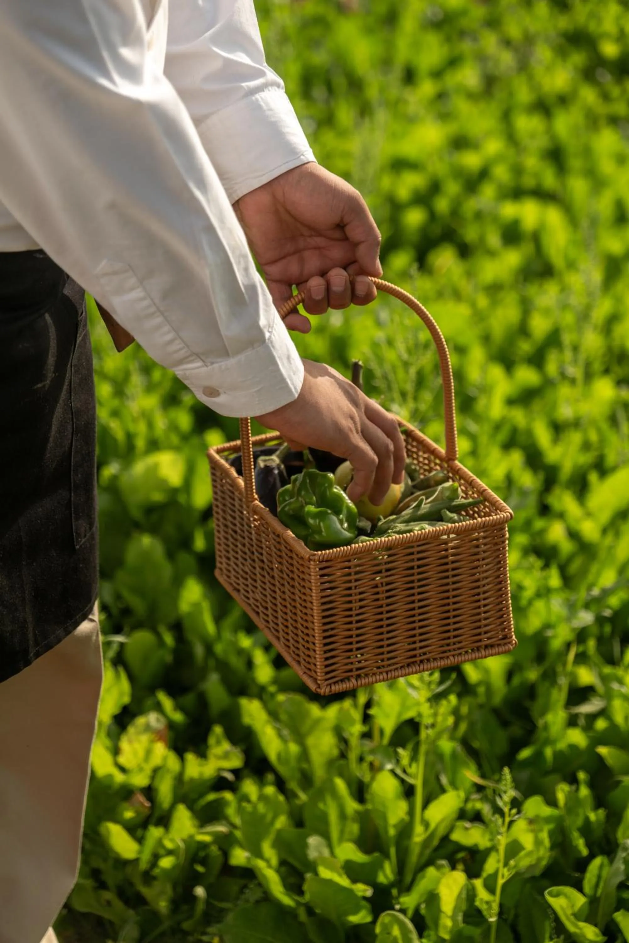 Garden in Best Western Resort Country Club