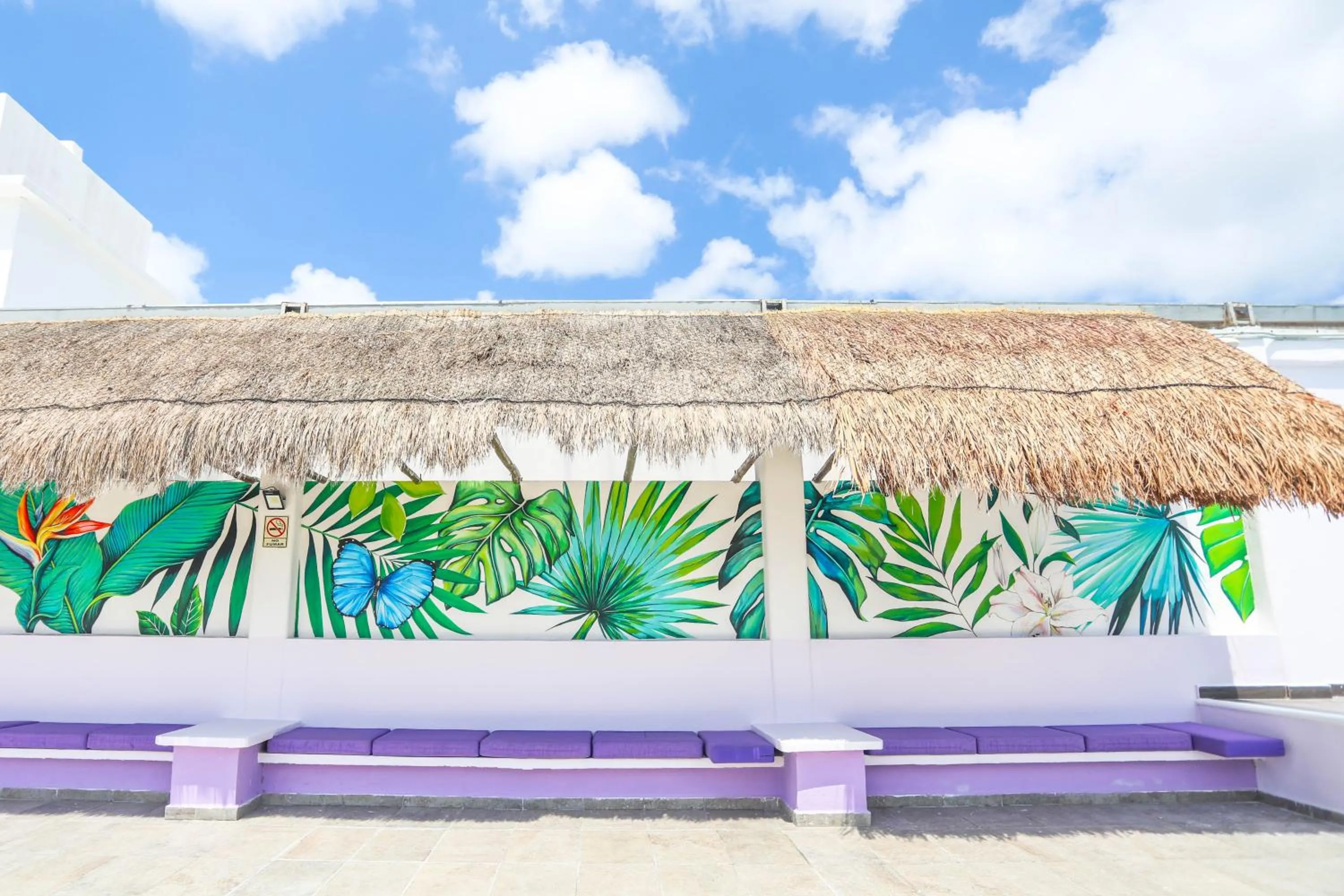 Swimming pool in Hotel Kavia