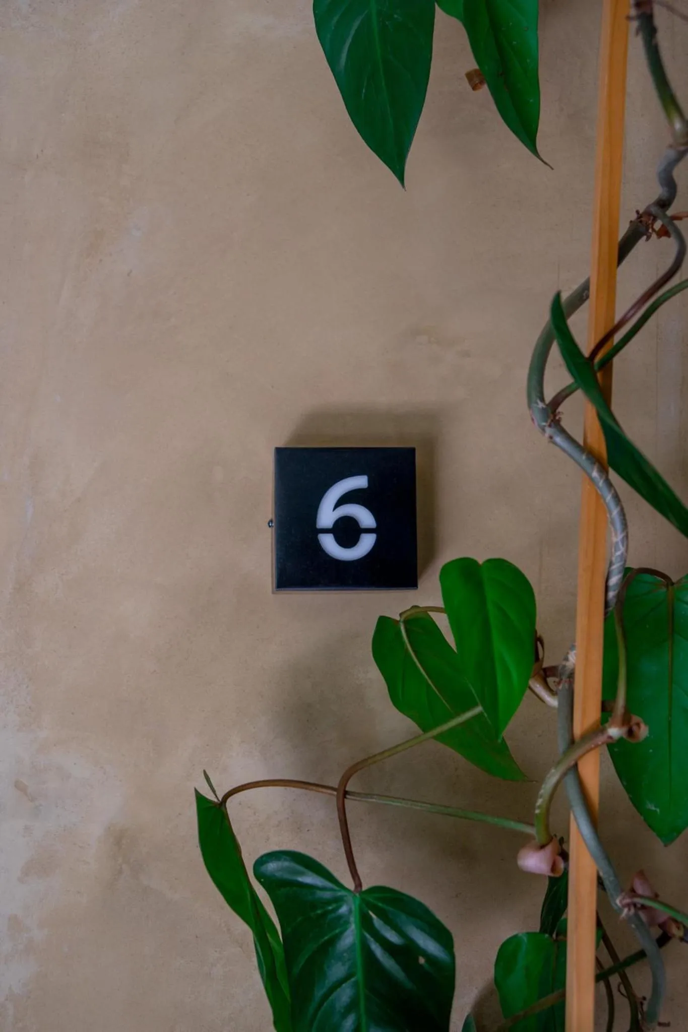 Off site in Casa Antonieta