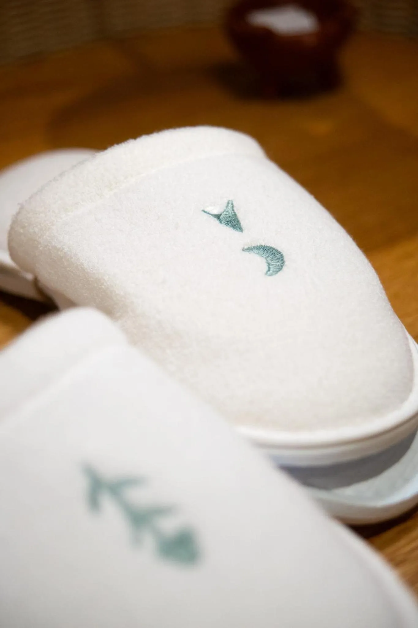 Toilet in Casa Antonieta