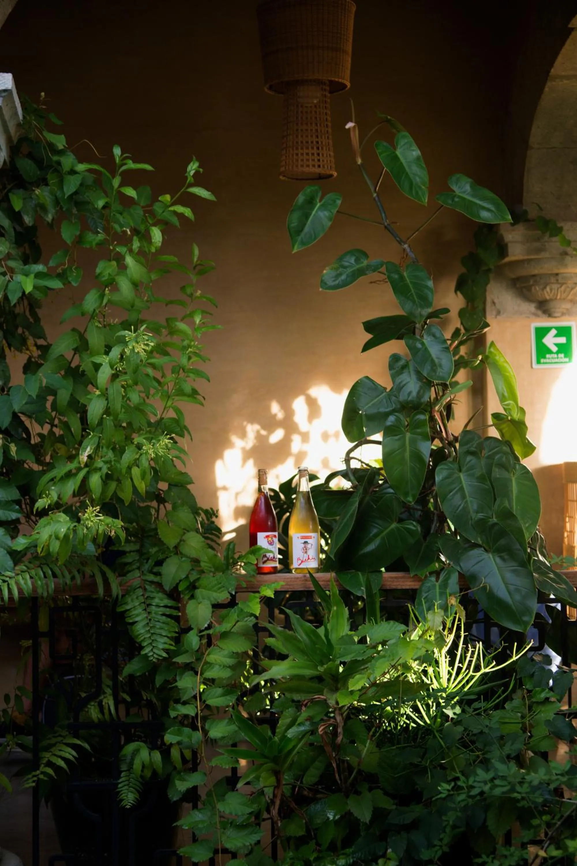 Balcony/Terrace in Casa Antonieta