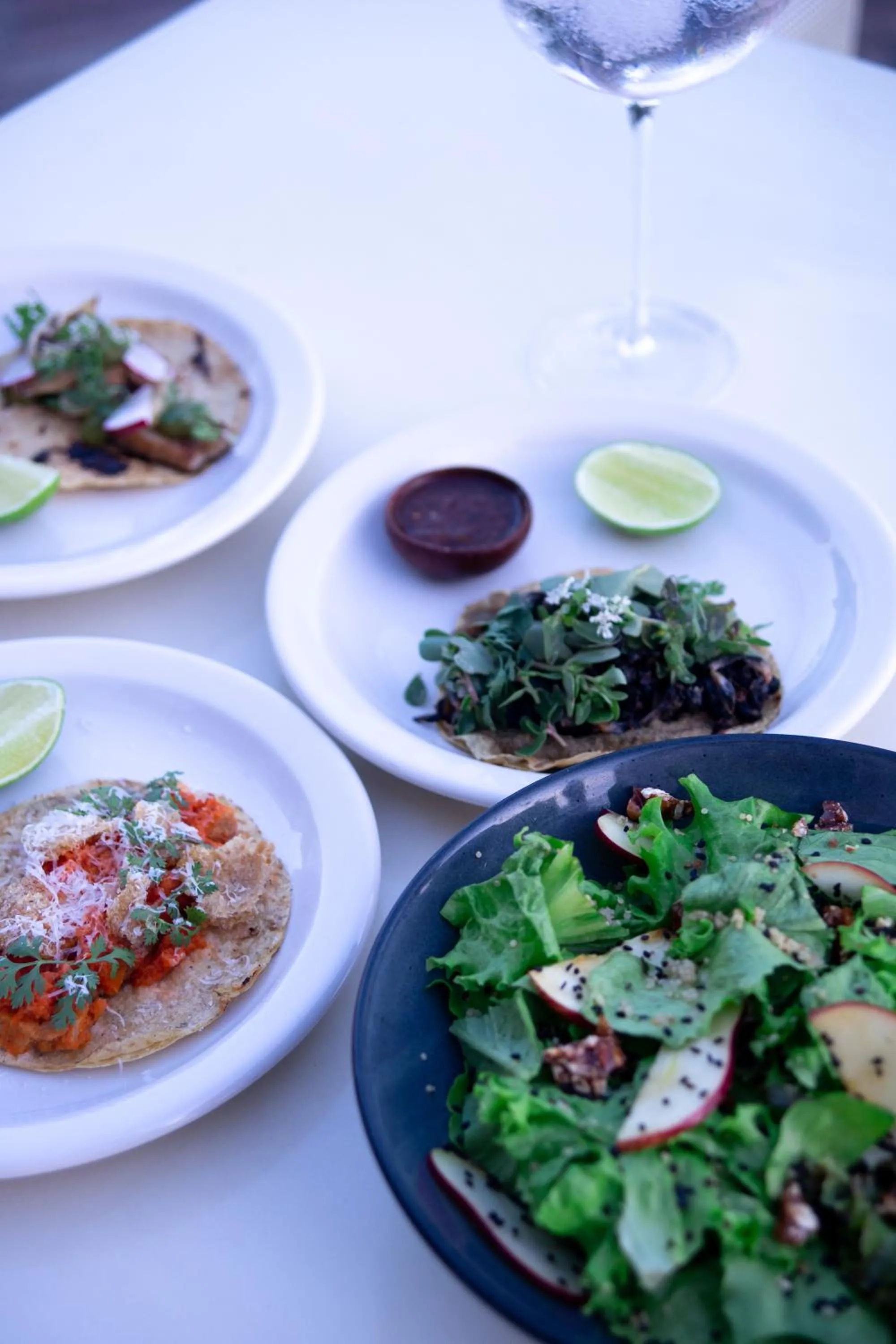 Balcony/Terrace in Casa Antonieta