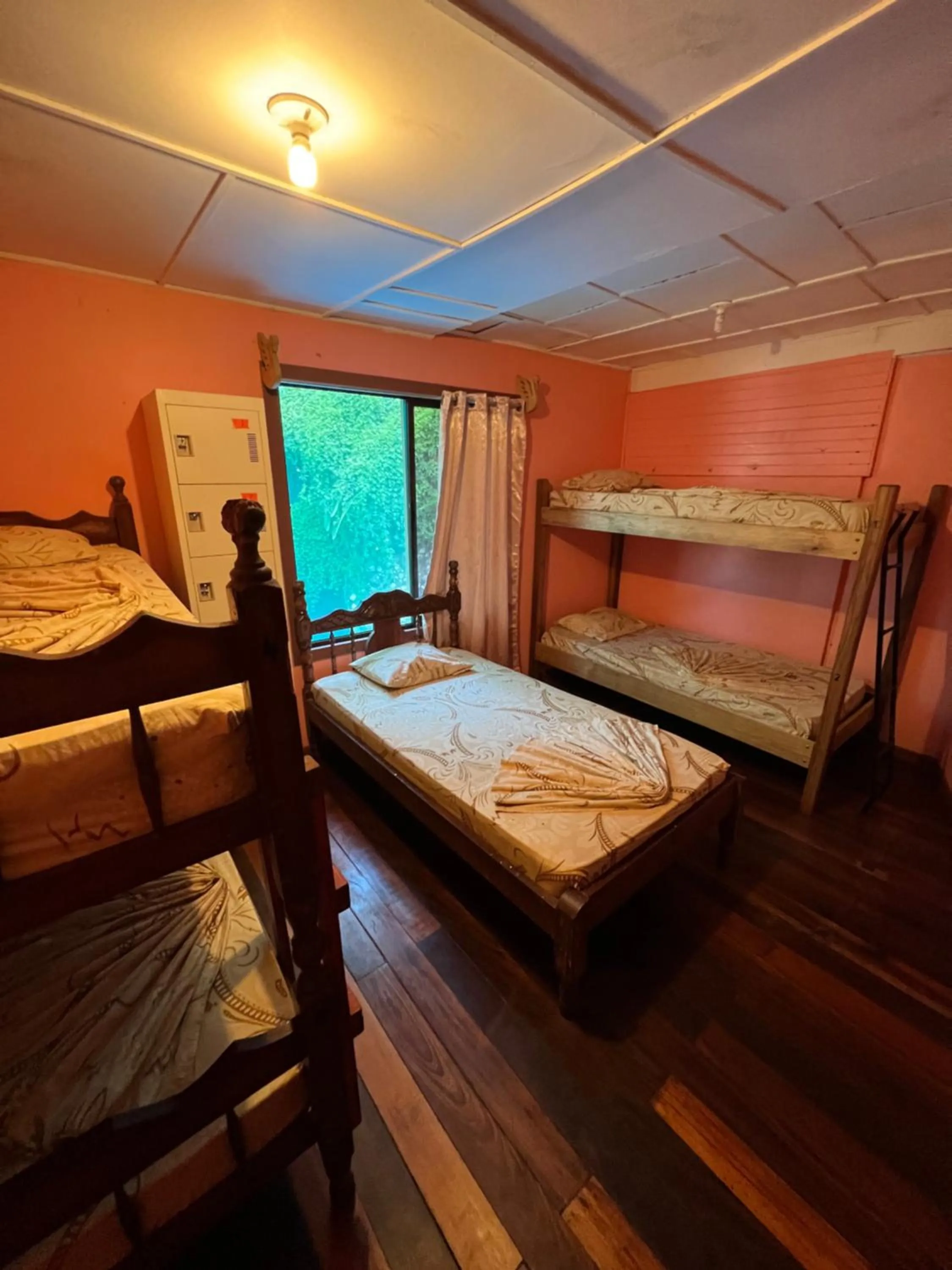 Photo of the whole room, Bed in Pura Vida Hostel