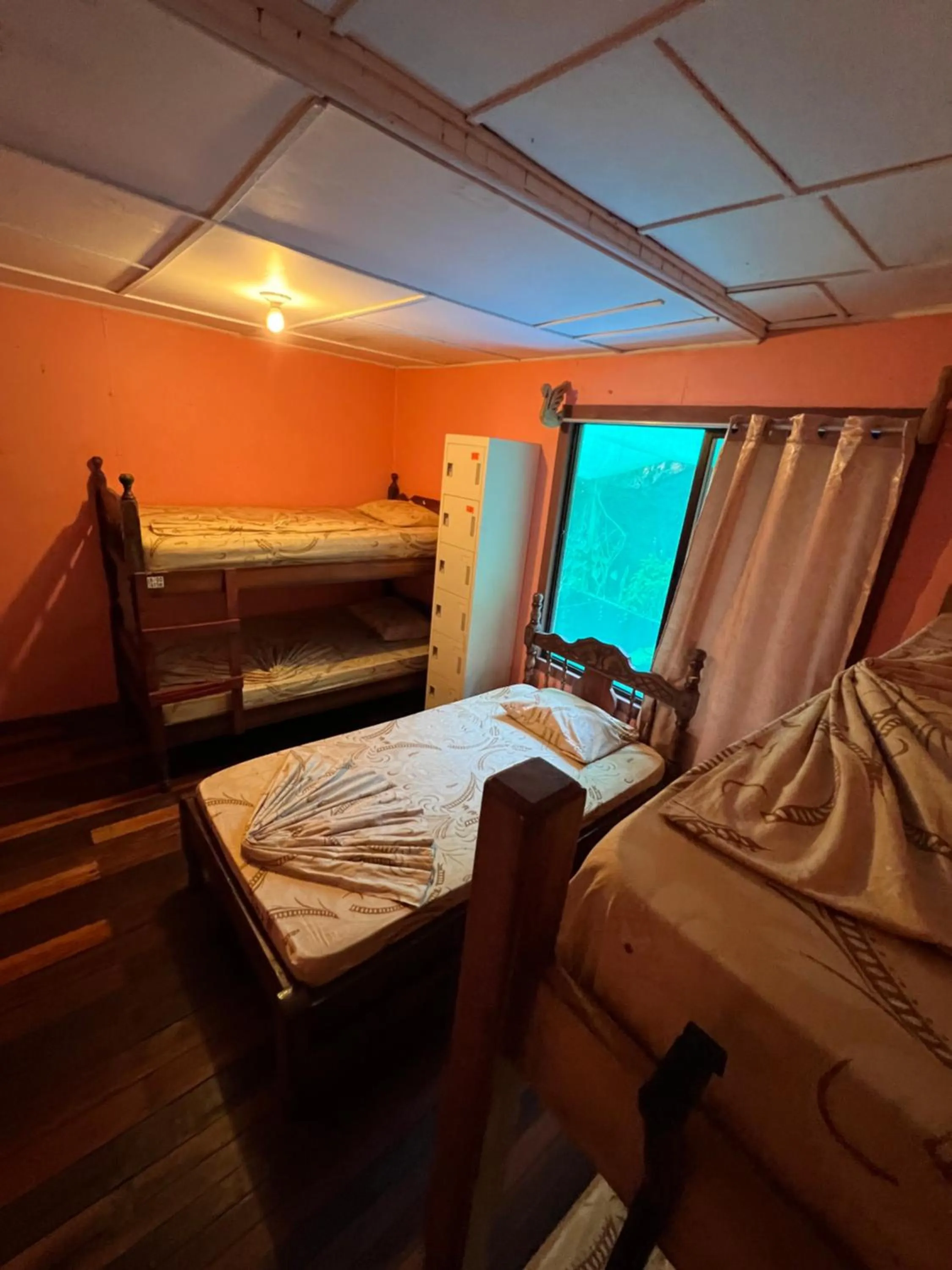 Photo of the whole room, Bed in Pura Vida Hostel