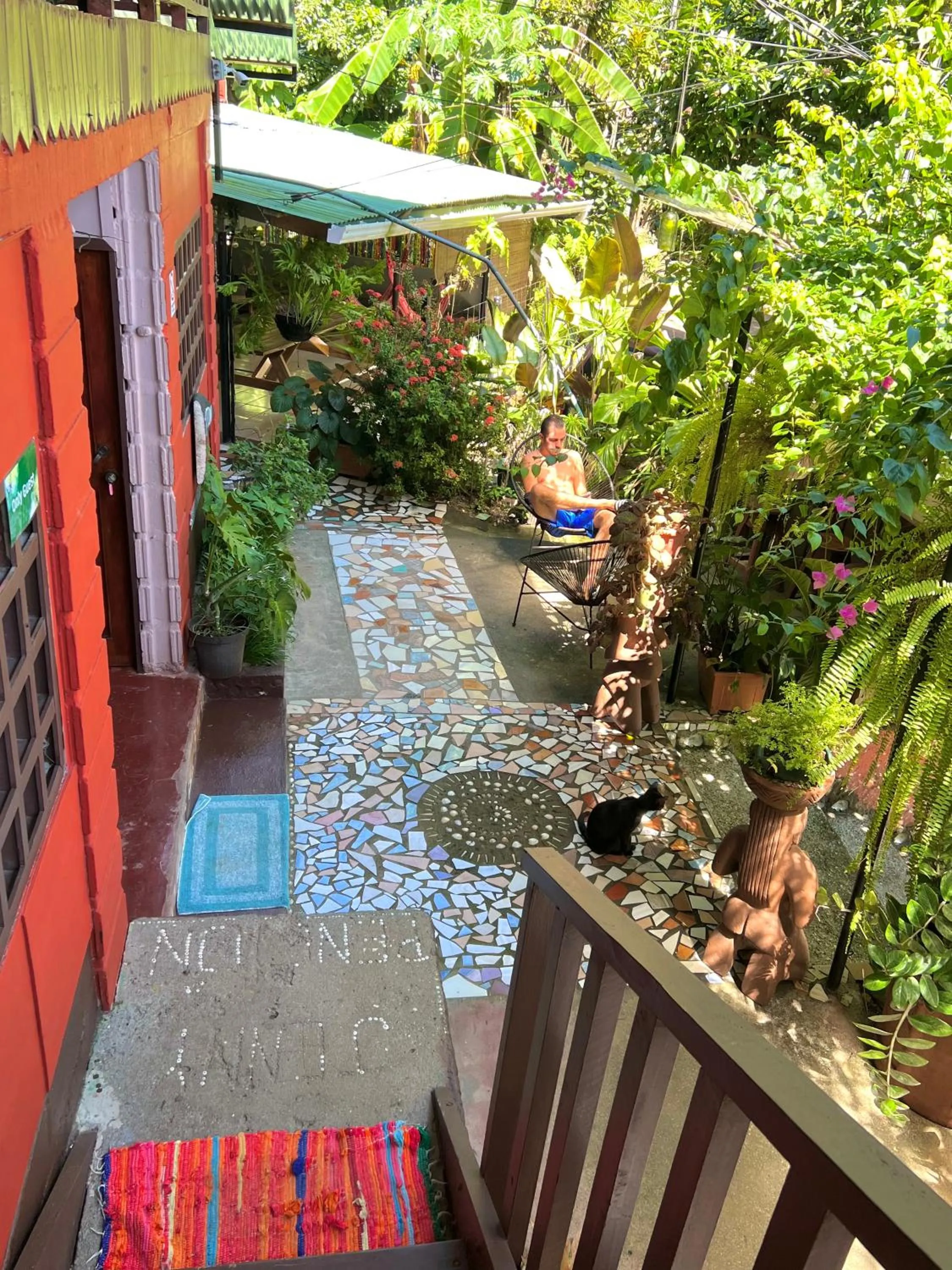 View (from property/room) in Pura Vida Hostel
