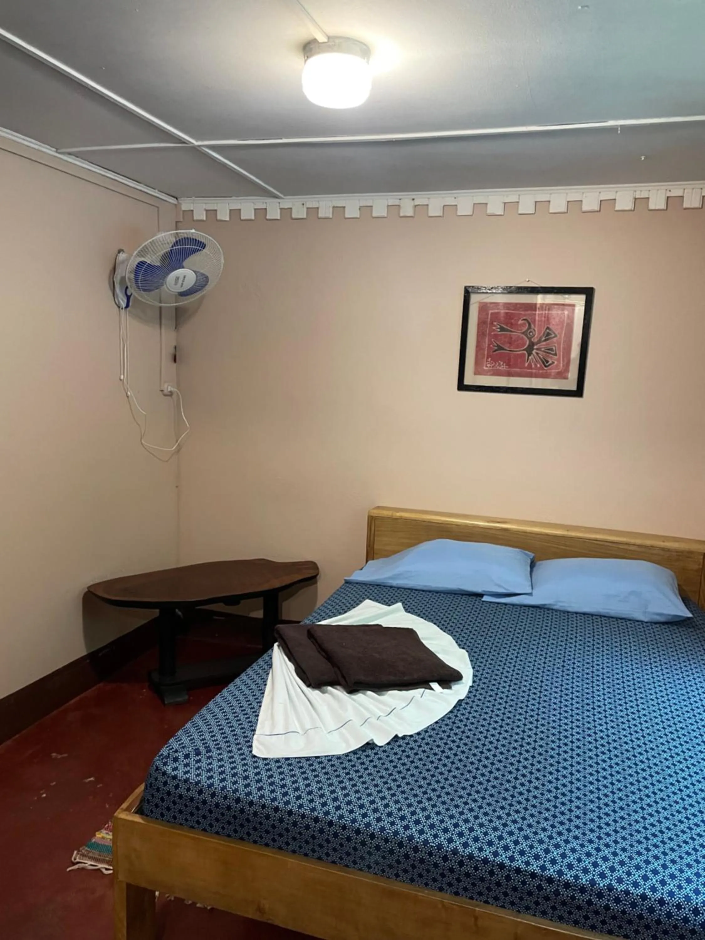 Photo of the whole room, Bed in Pura Vida Hostel