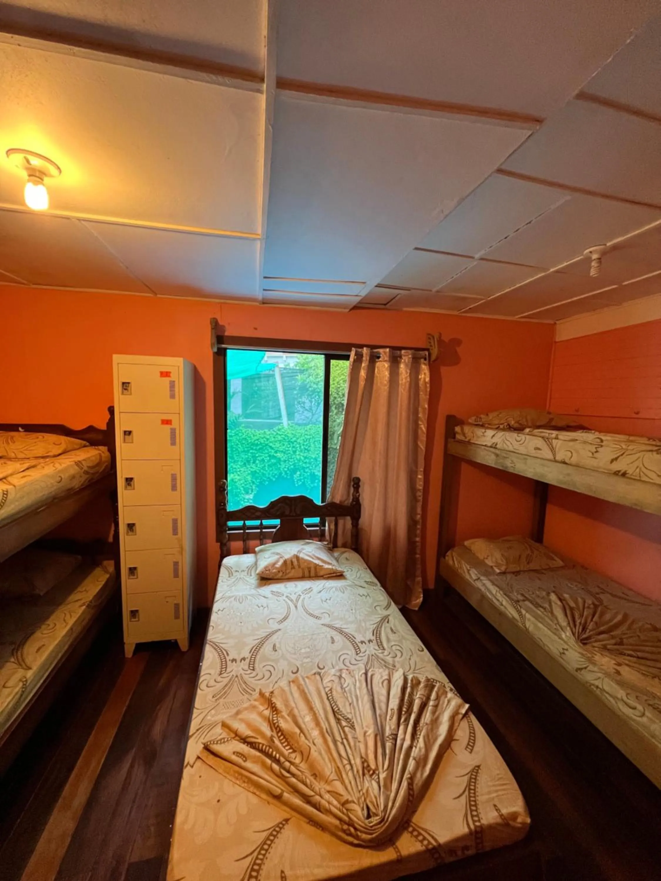Photo of the whole room, Bed in Pura Vida Hostel