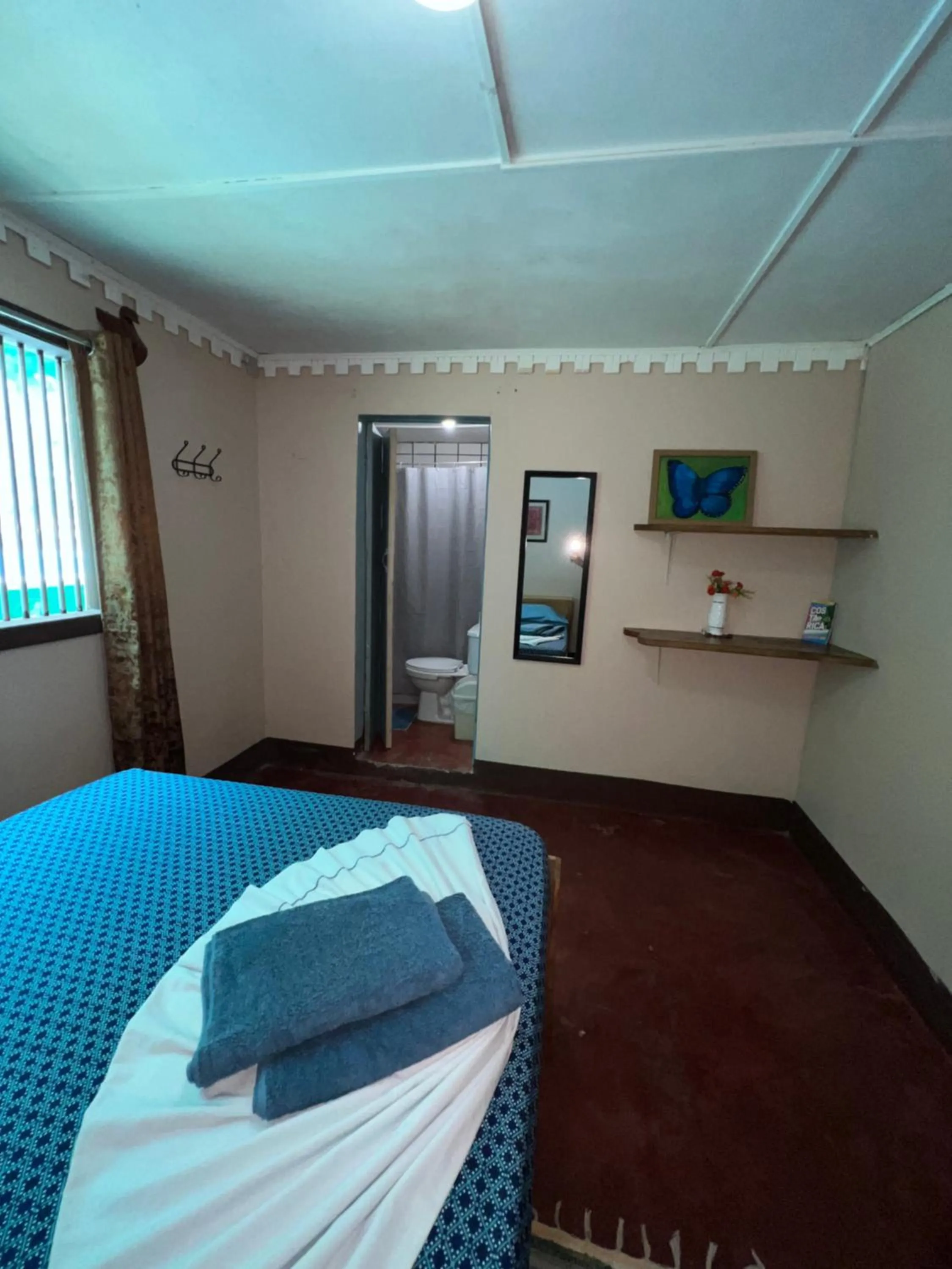 Photo of the whole room, Bed in Pura Vida Hostel