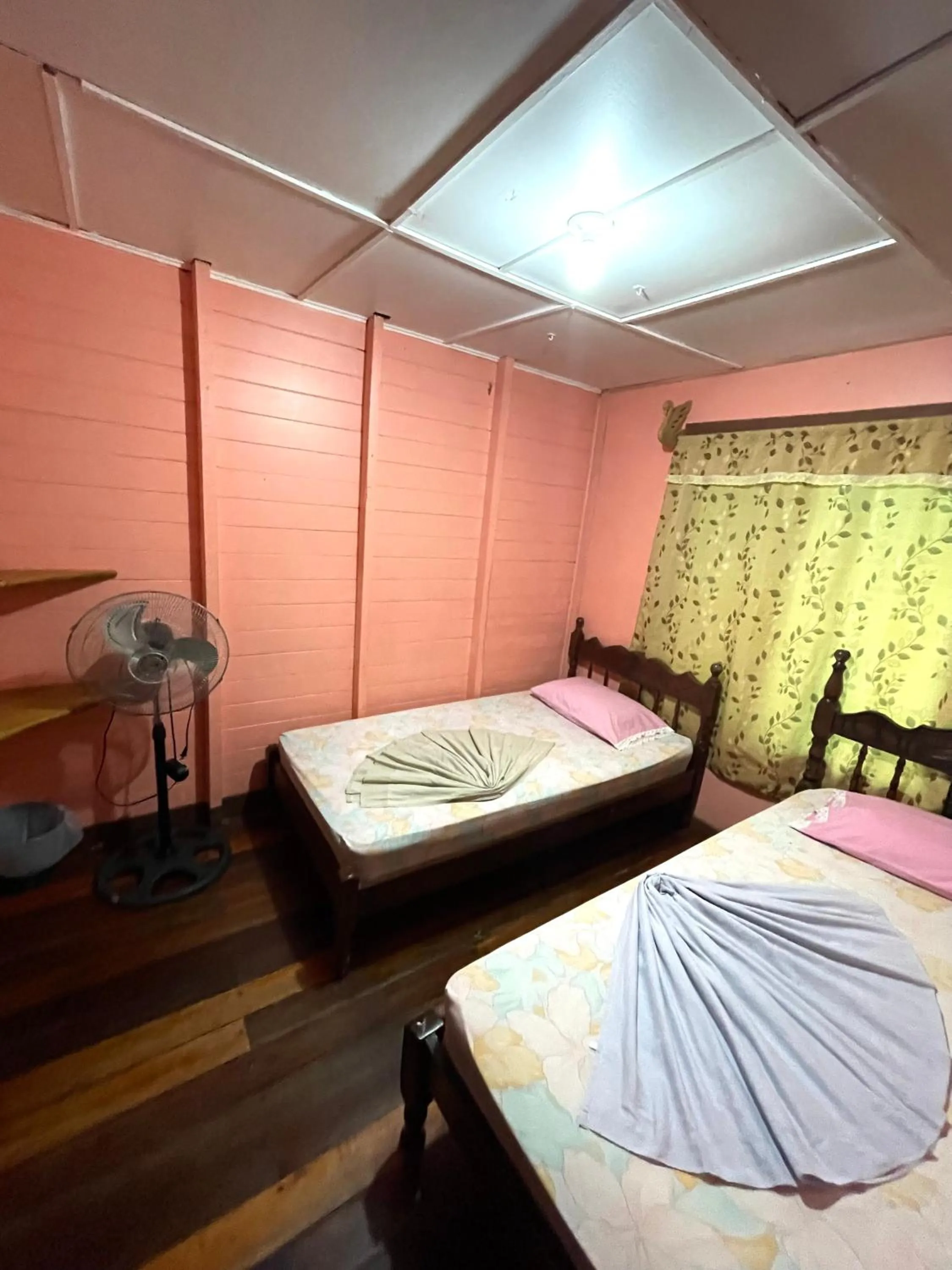 Photo of the whole room, Bed in Pura Vida Hostel