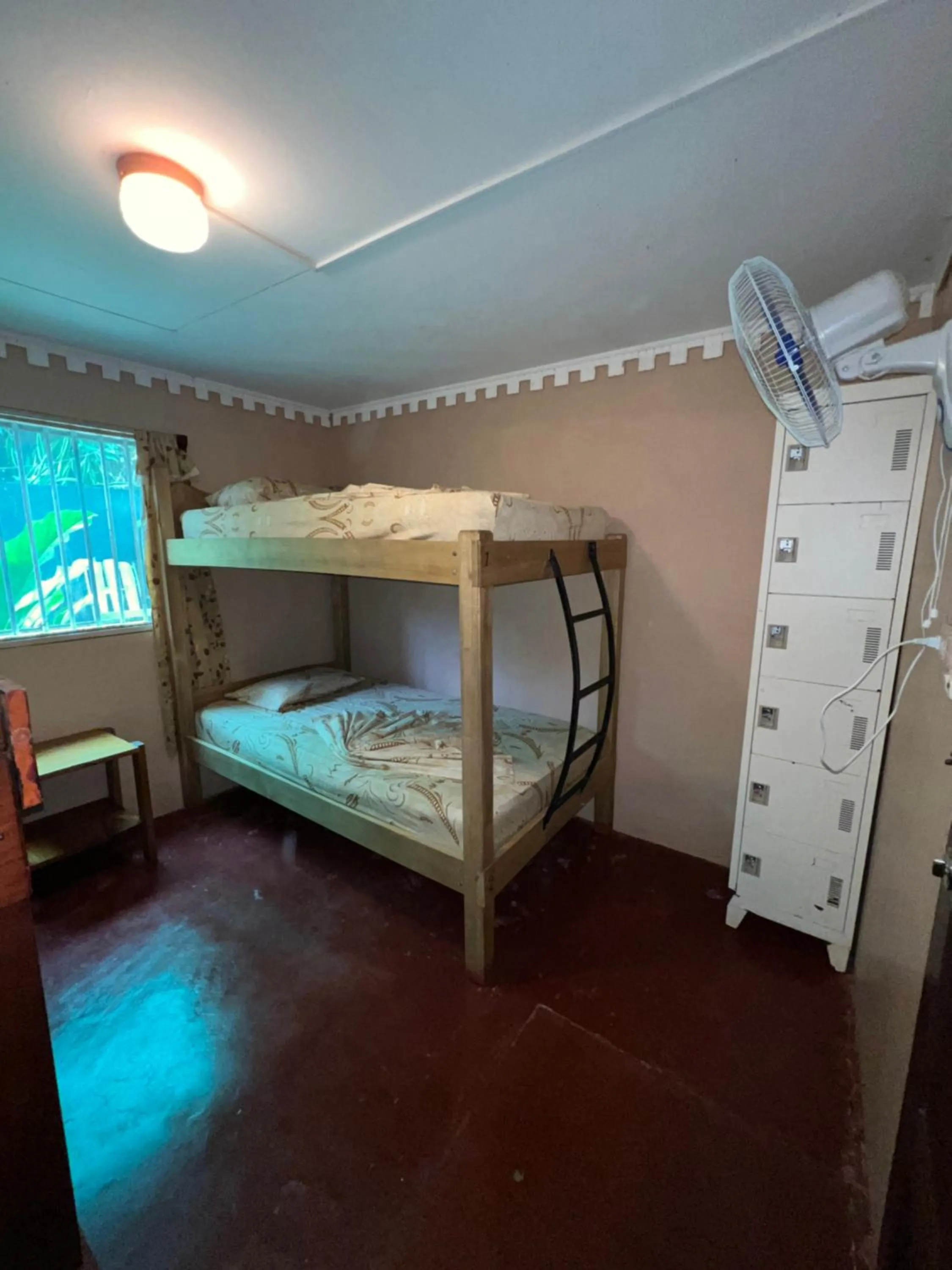 Photo of the whole room, Bed in Pura Vida Hostel