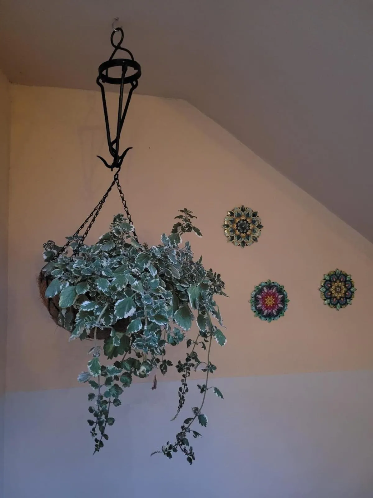 Patio in Casal de Petra - Rooms & Pool by My Rooms Hotels TI