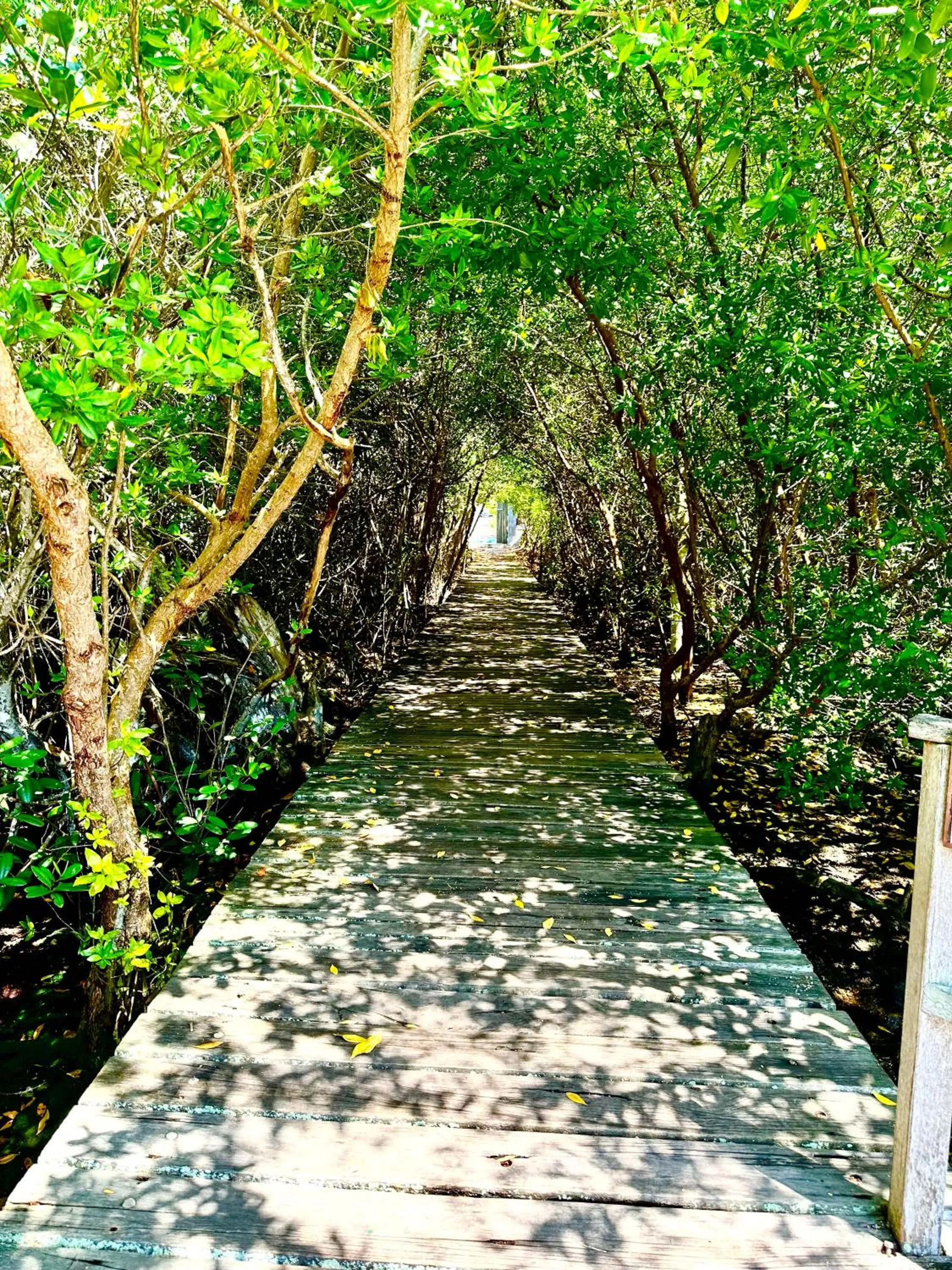 Natural landscape in Casa del Lago Lodging House