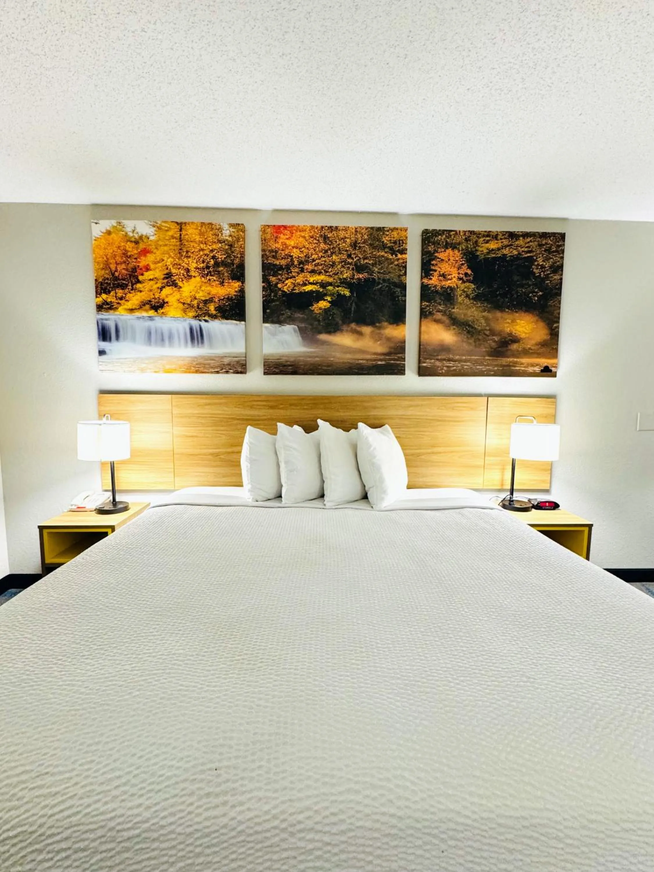 Bed in HomeLodge Newnan