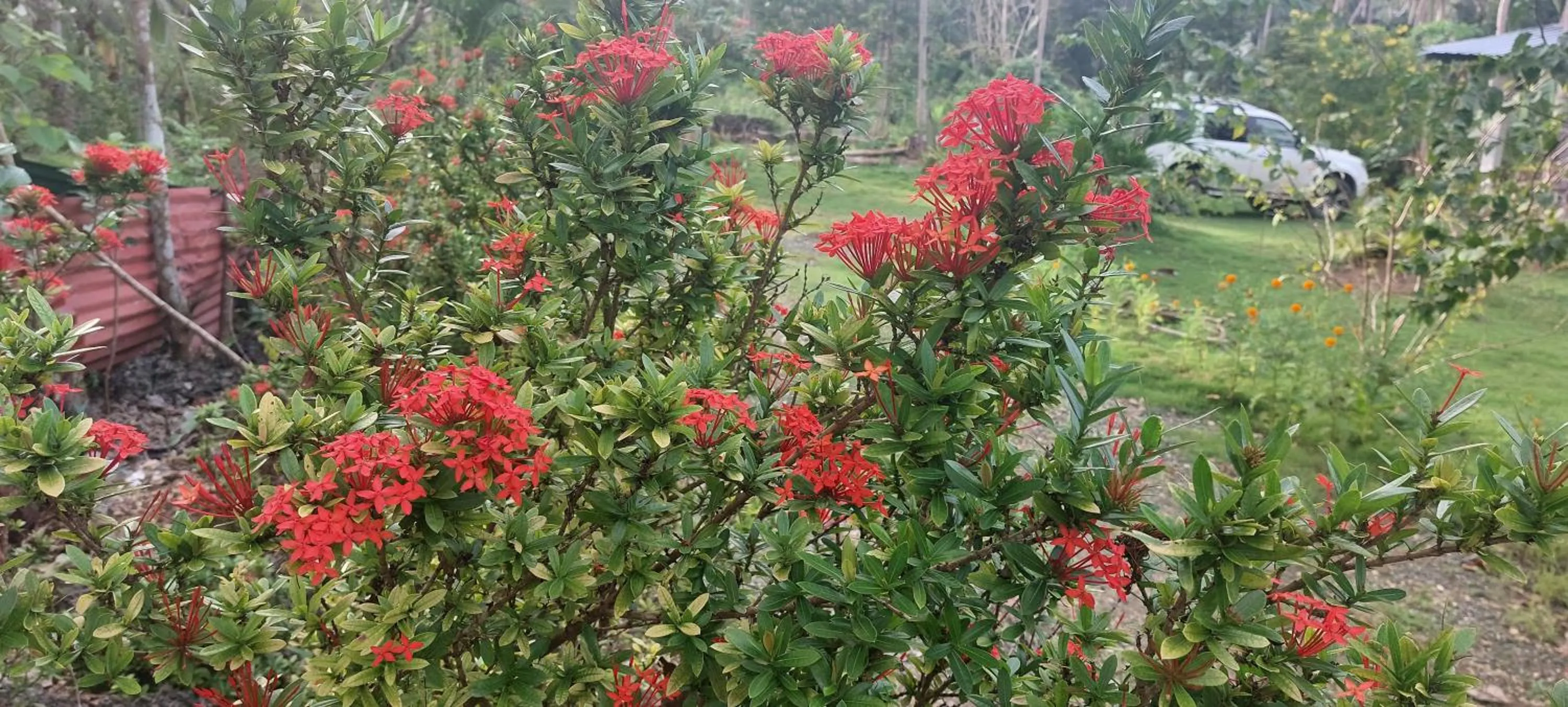 Andnindot garden resort