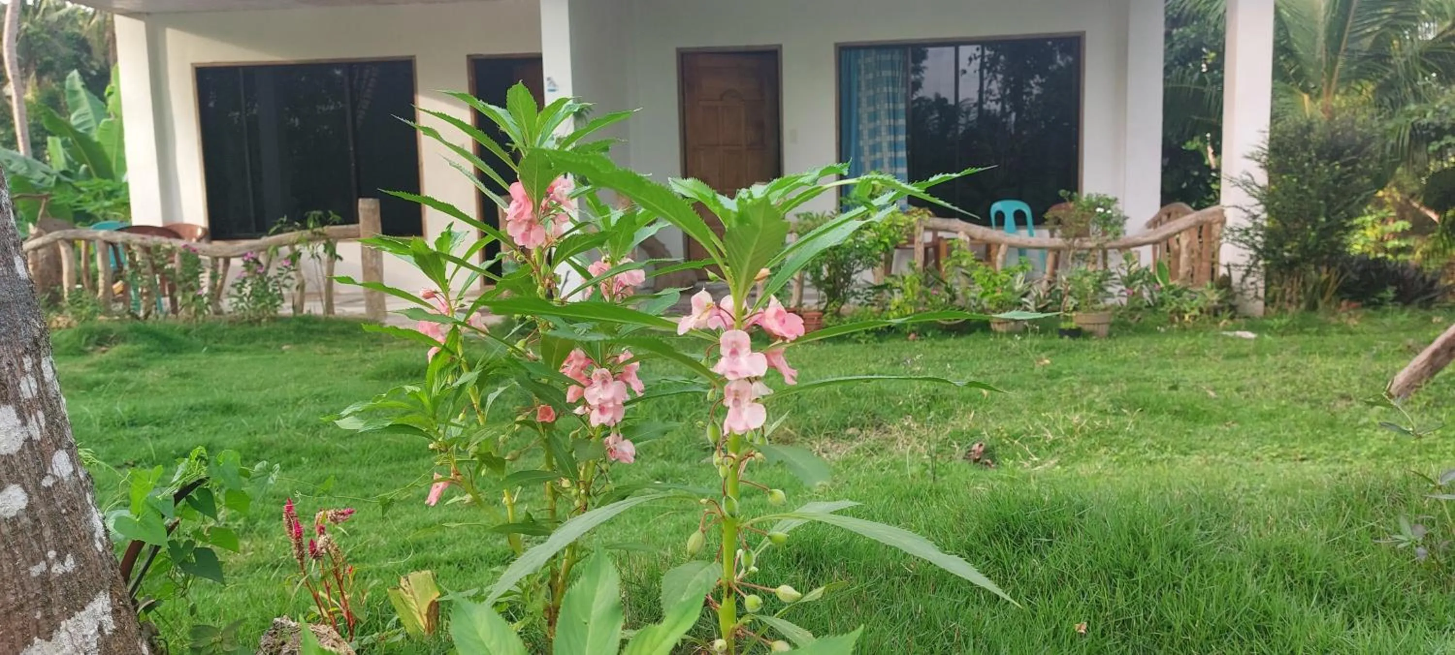 Andnindot garden resort