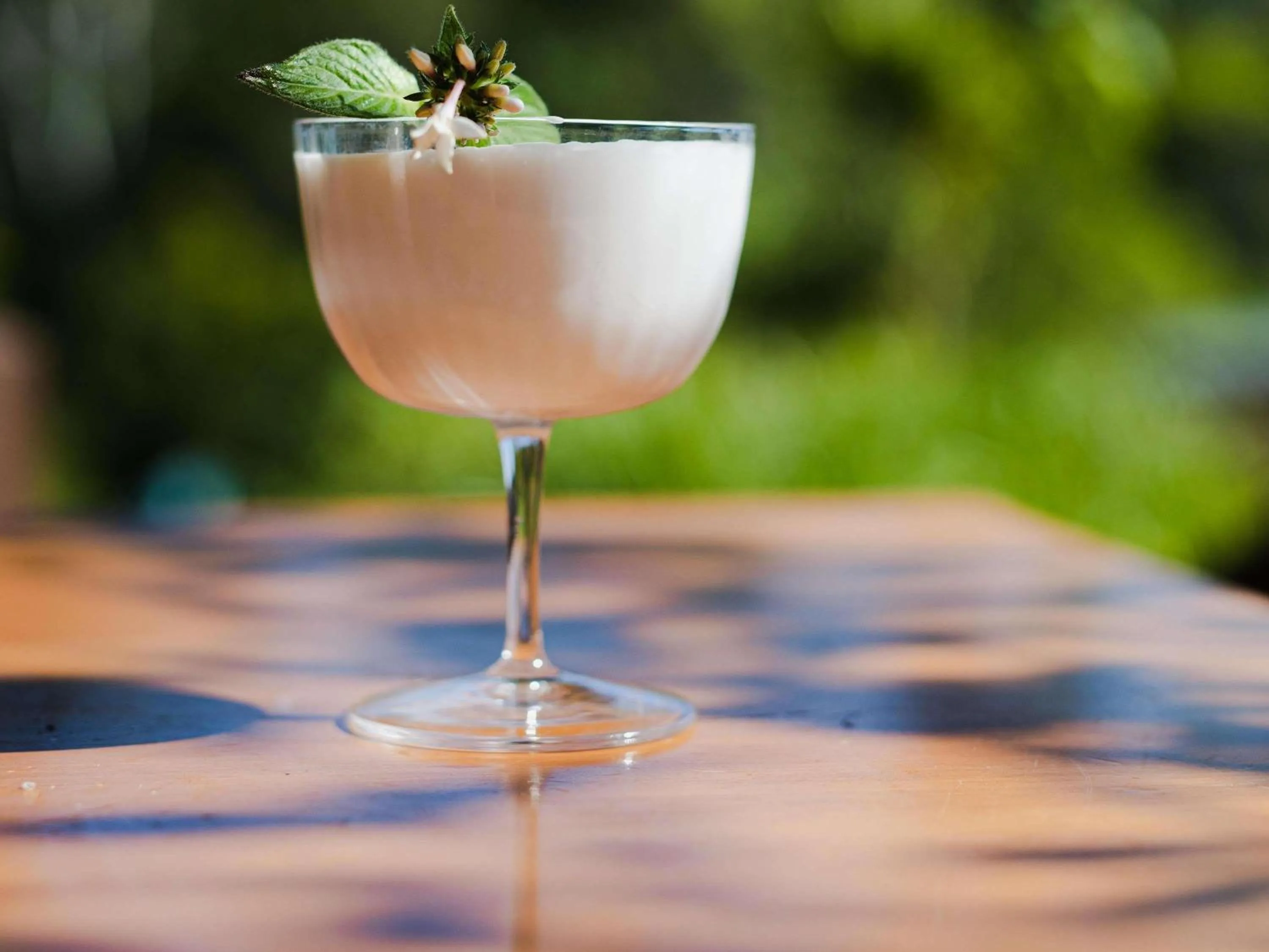 Lounge or bar in Peppers Noosa Resort and Villas