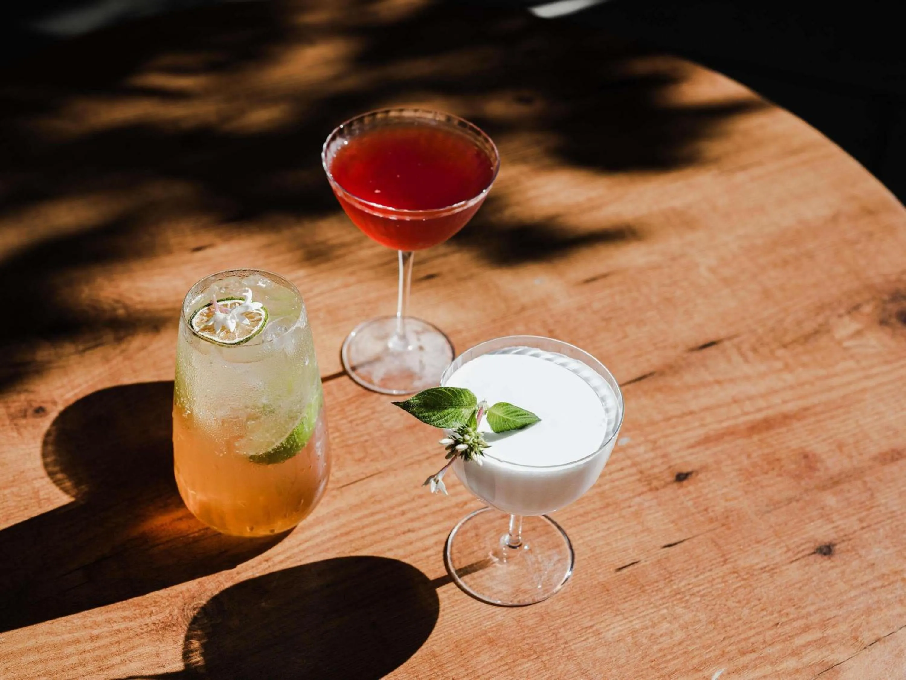 Lounge or bar in Peppers Noosa Resort and Villas