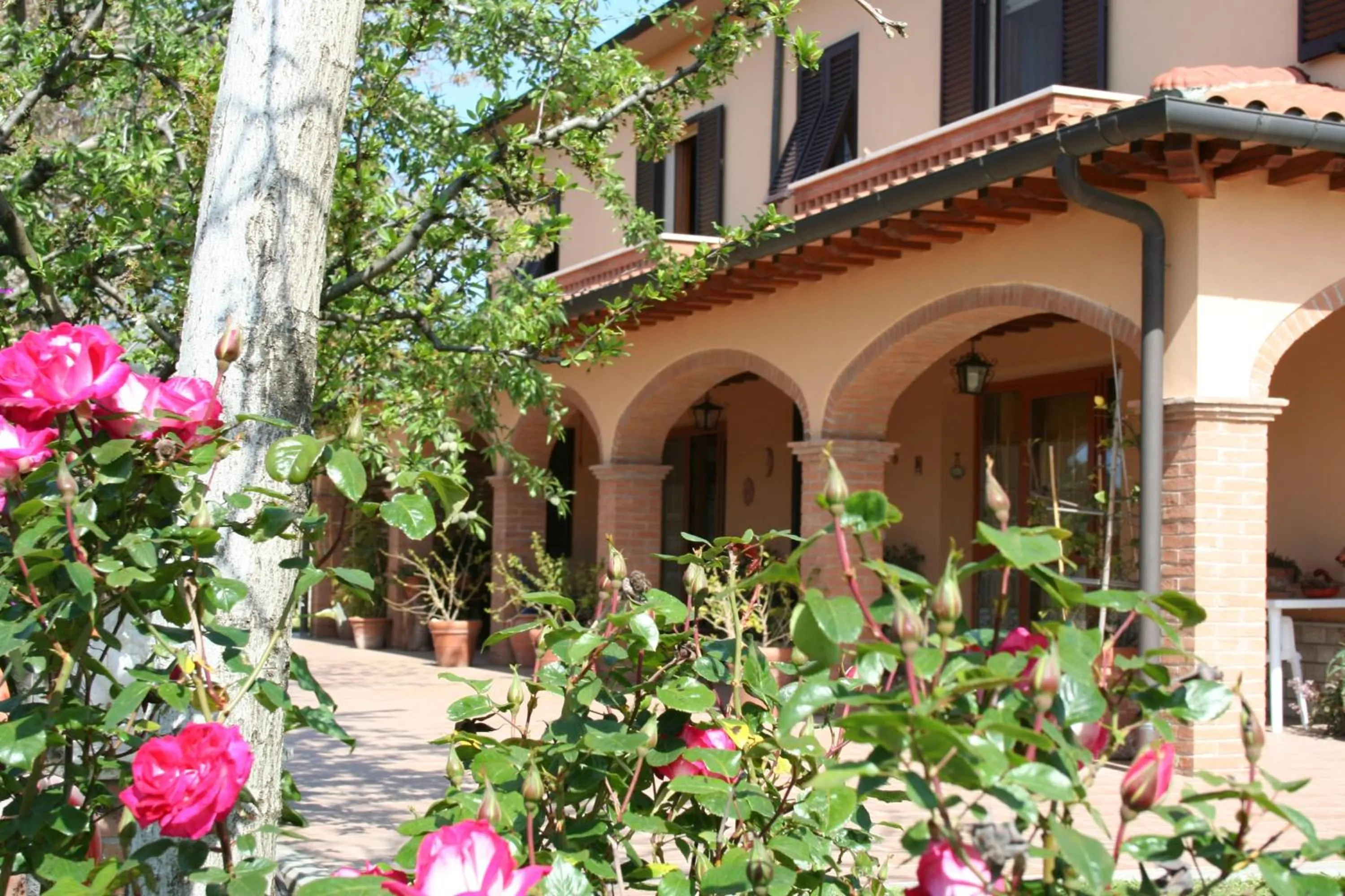 Agriturismo Diciocco