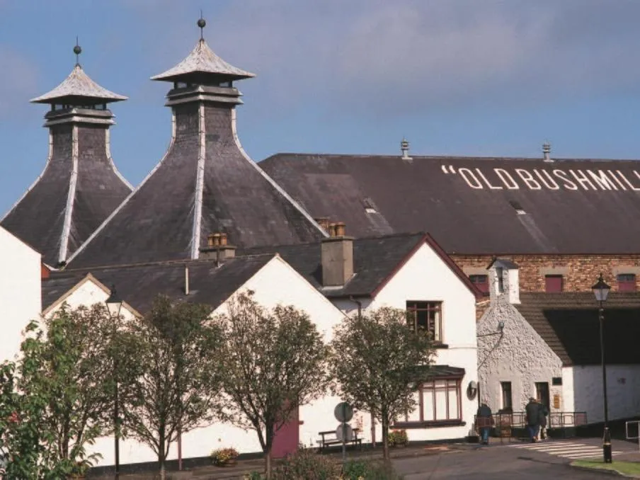 Activities in Rest a While