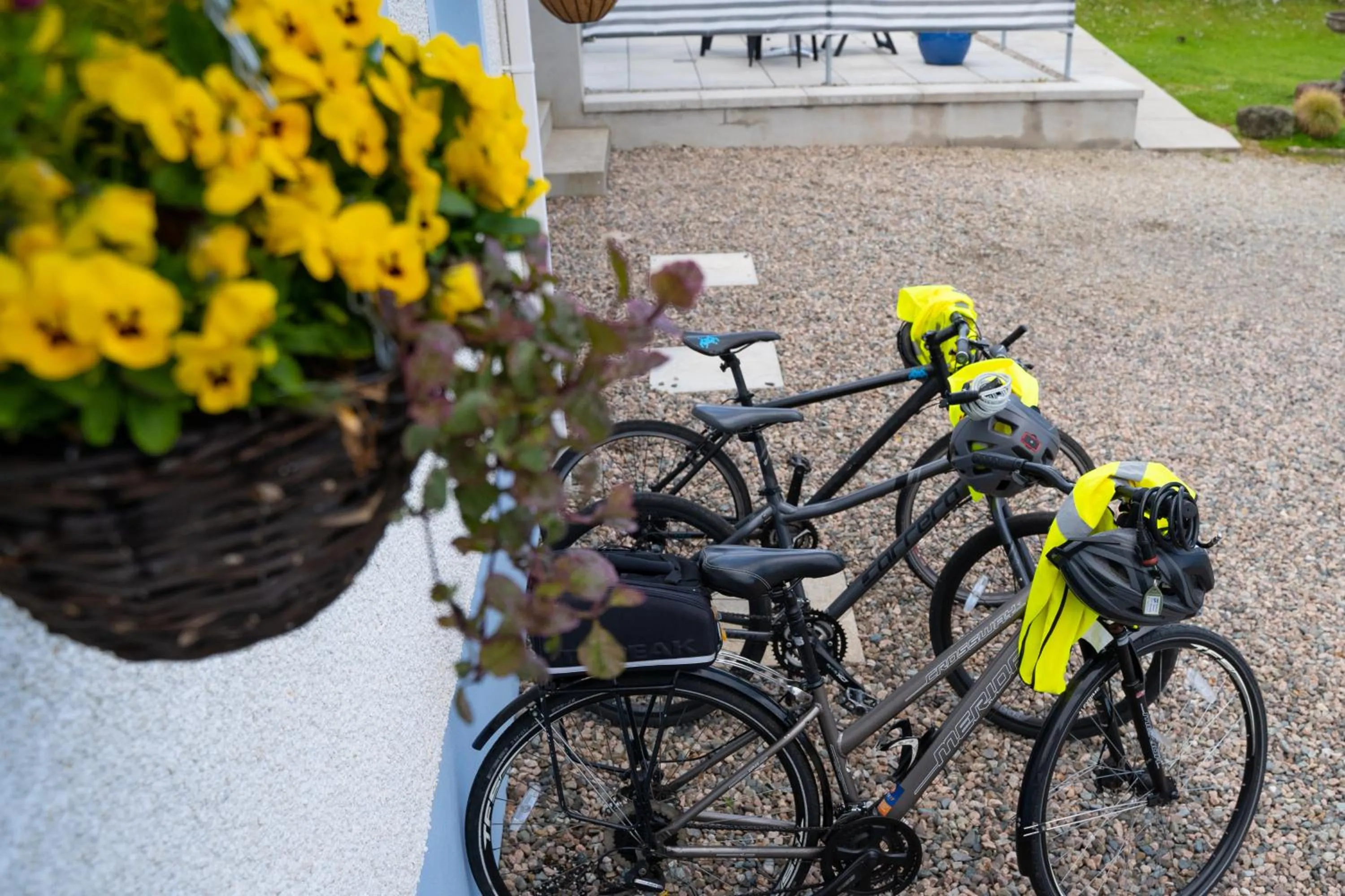 Activities in Rest a While