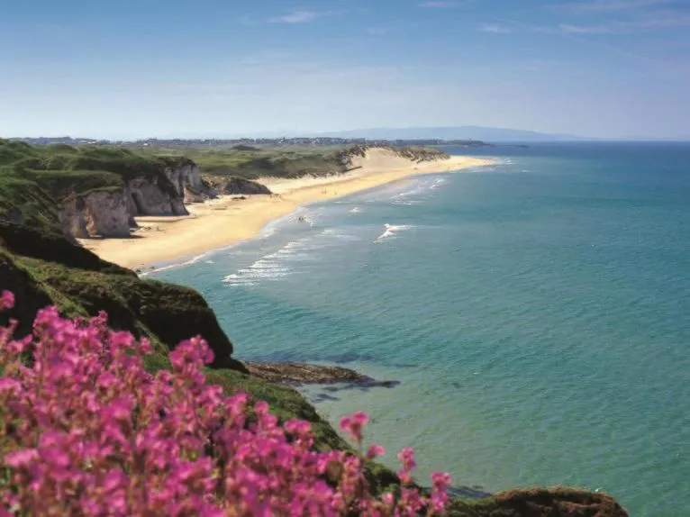 Activities in Rest a While