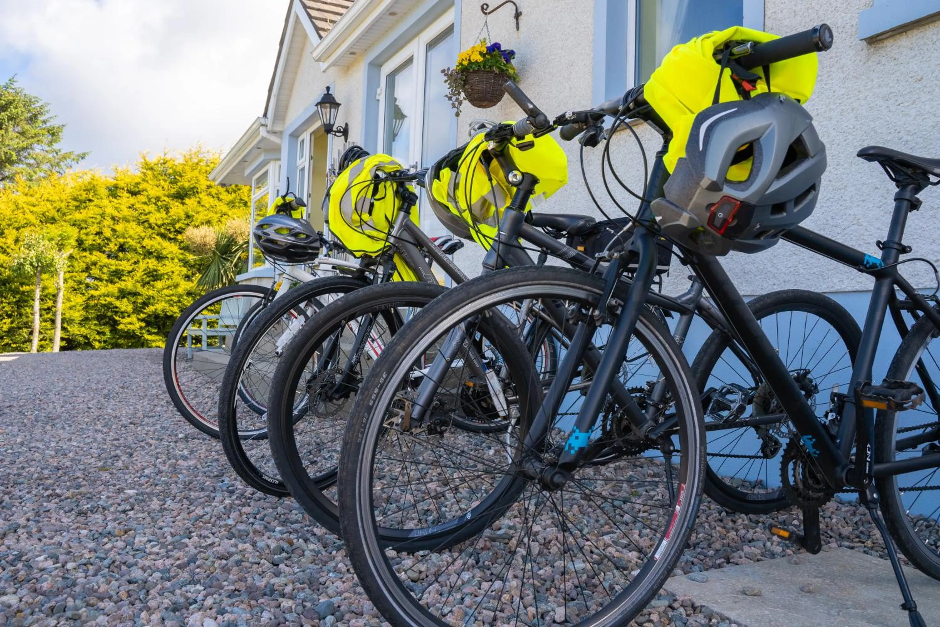 Activities in Rest a While