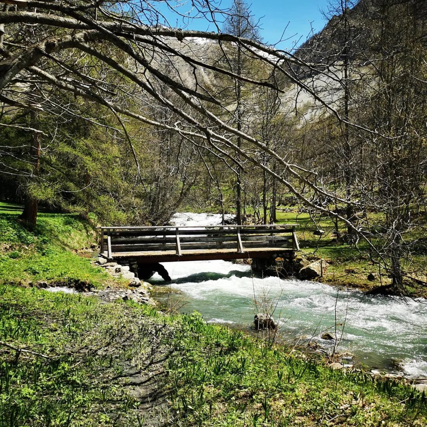 Les marmottes d Estenc