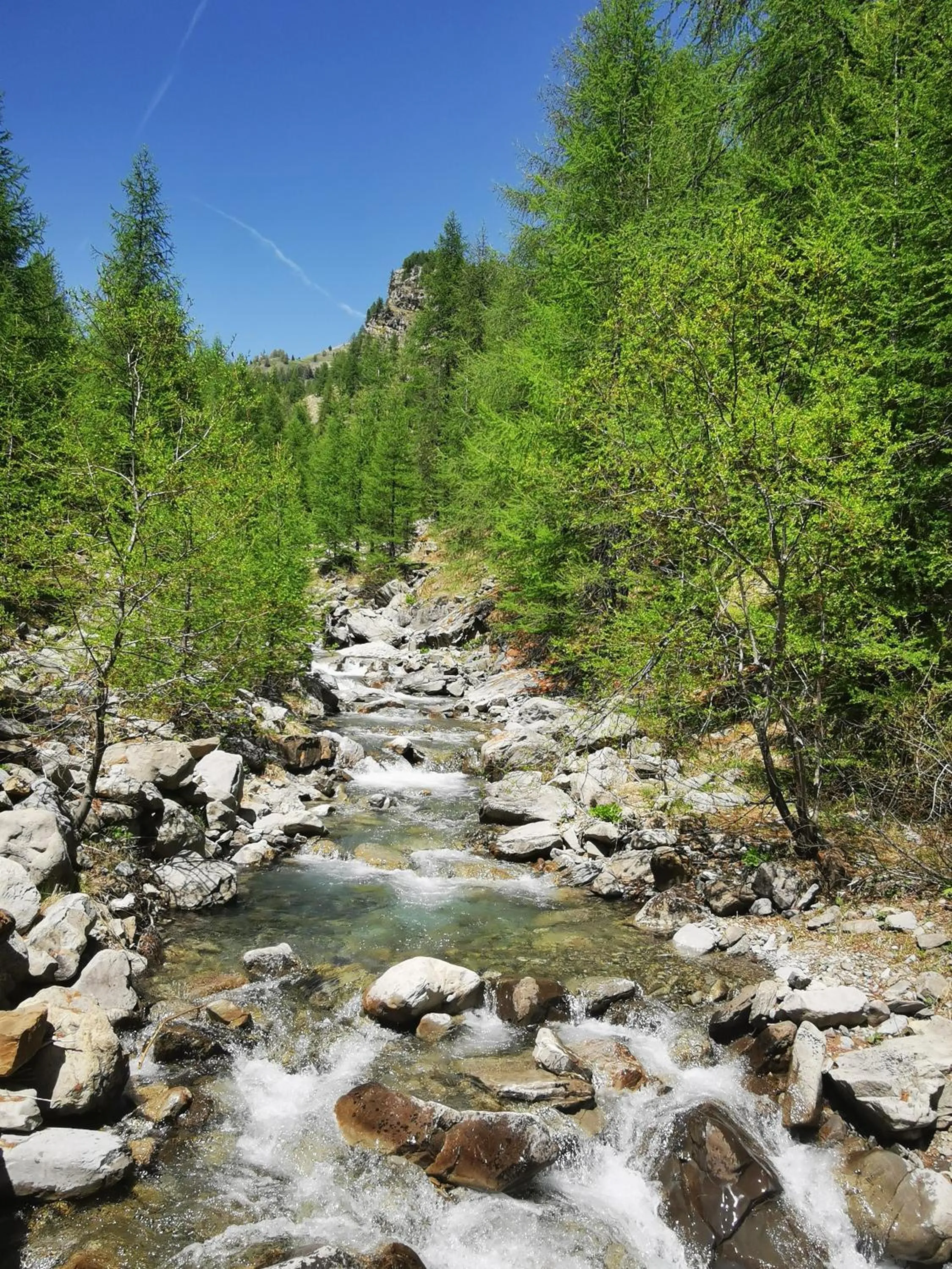 Les marmottes d Estenc