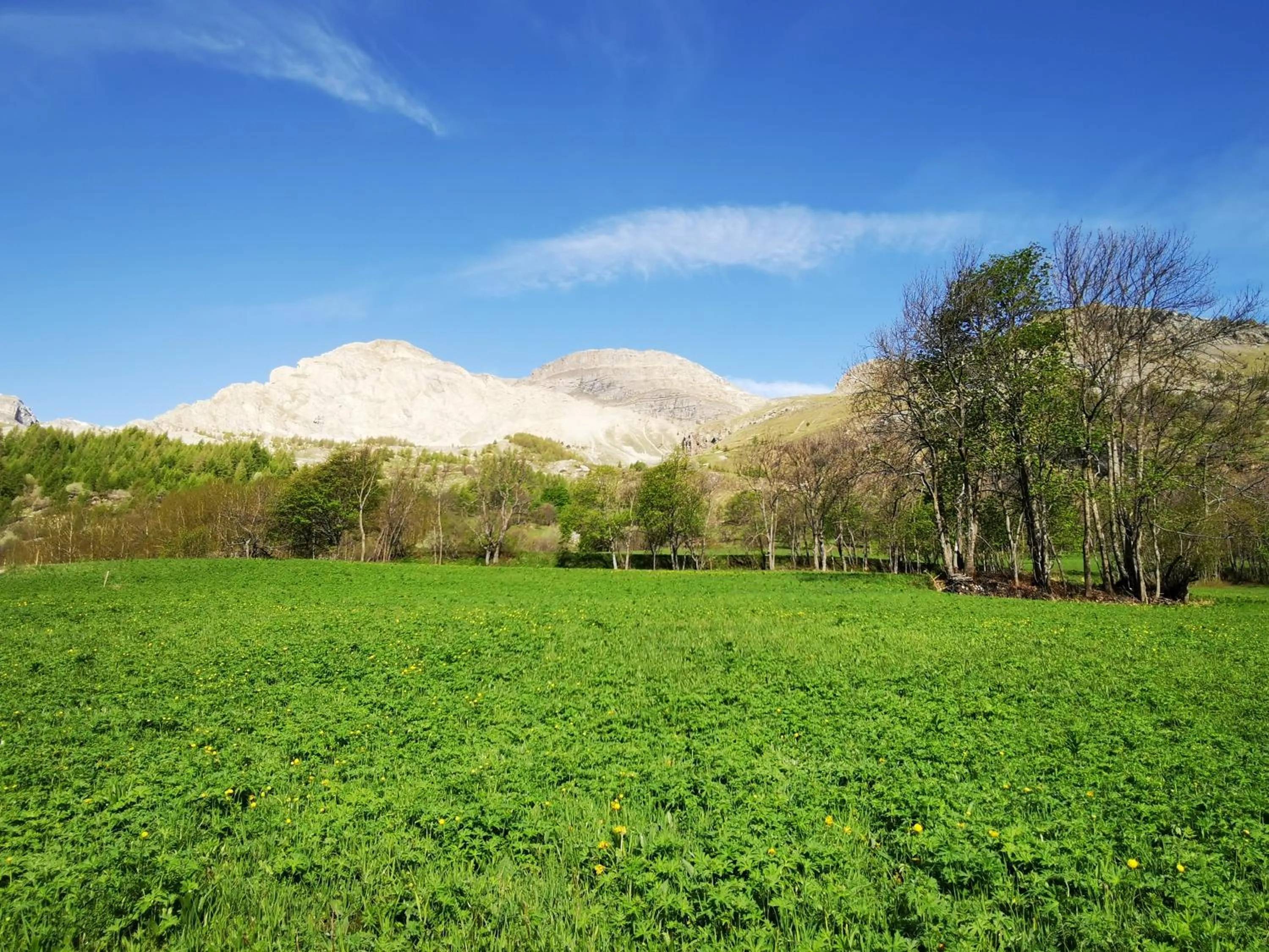 Les marmottes d Estenc