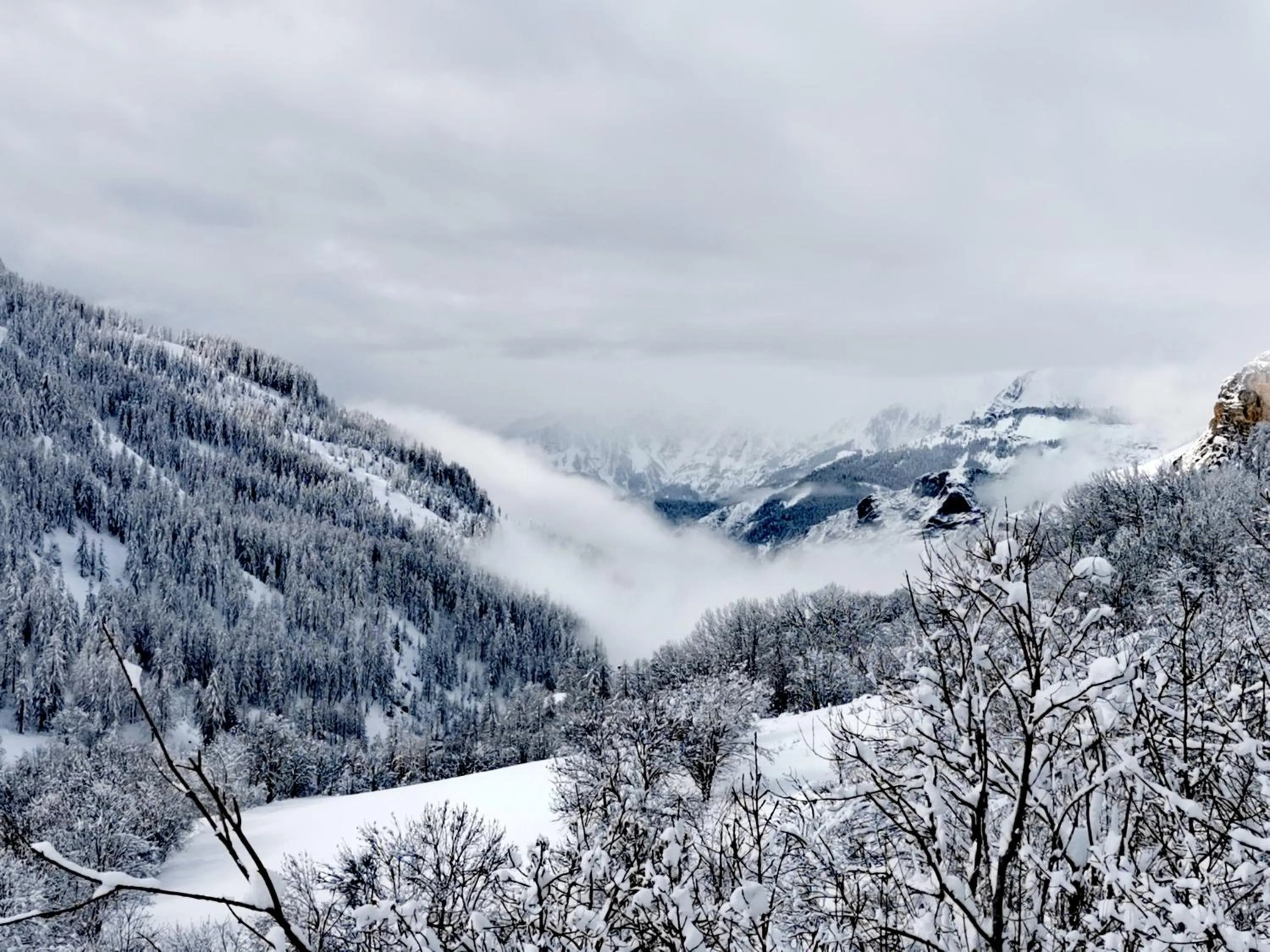 Les marmottes d Estenc