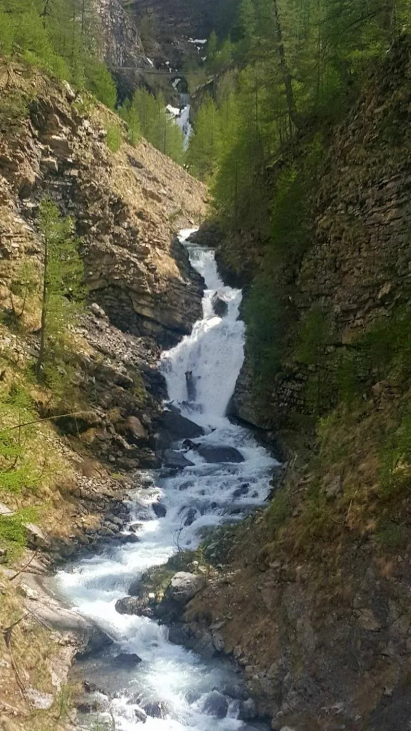 Les marmottes d Estenc