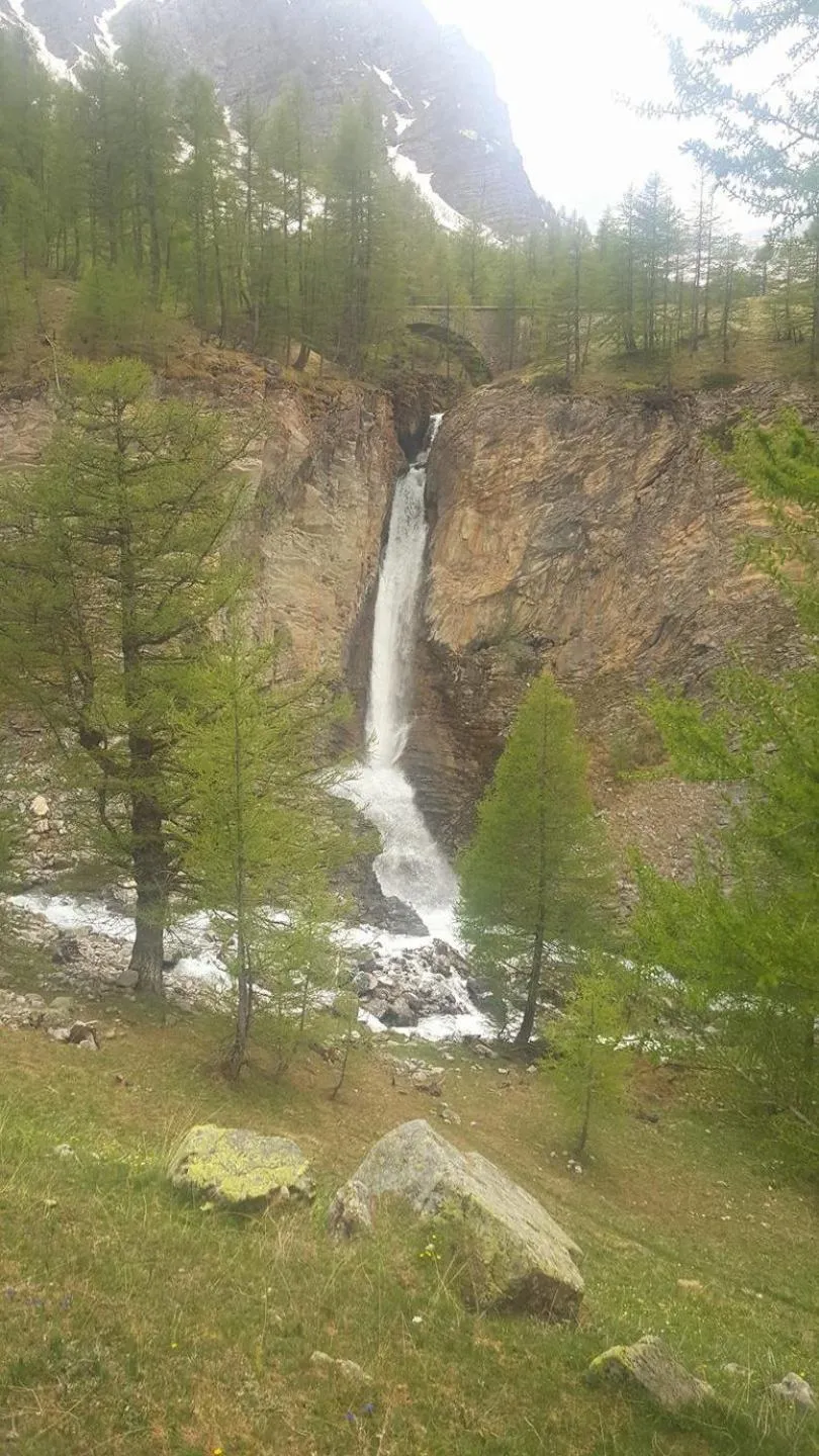 Les marmottes d Estenc