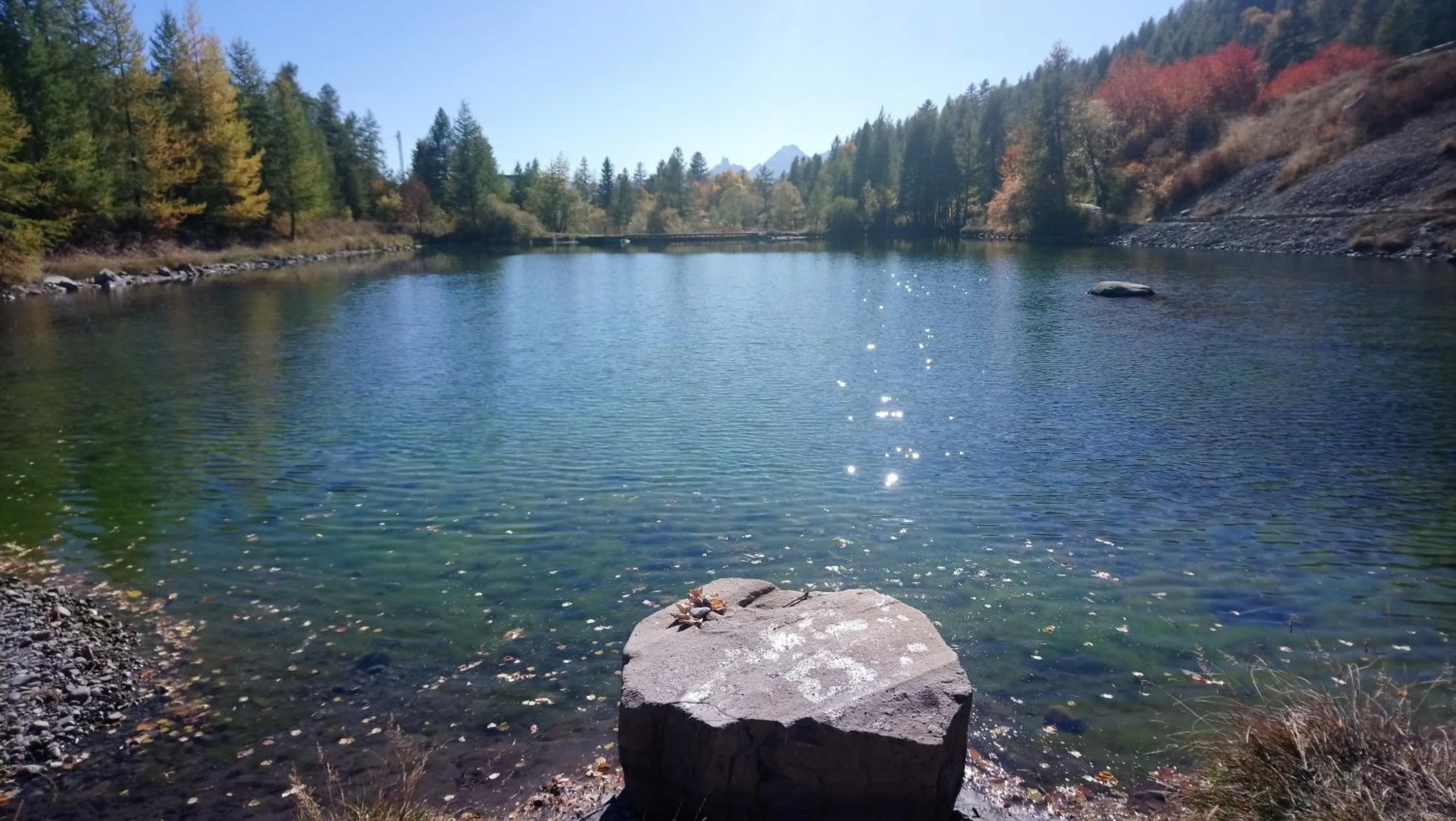 Les marmottes d Estenc