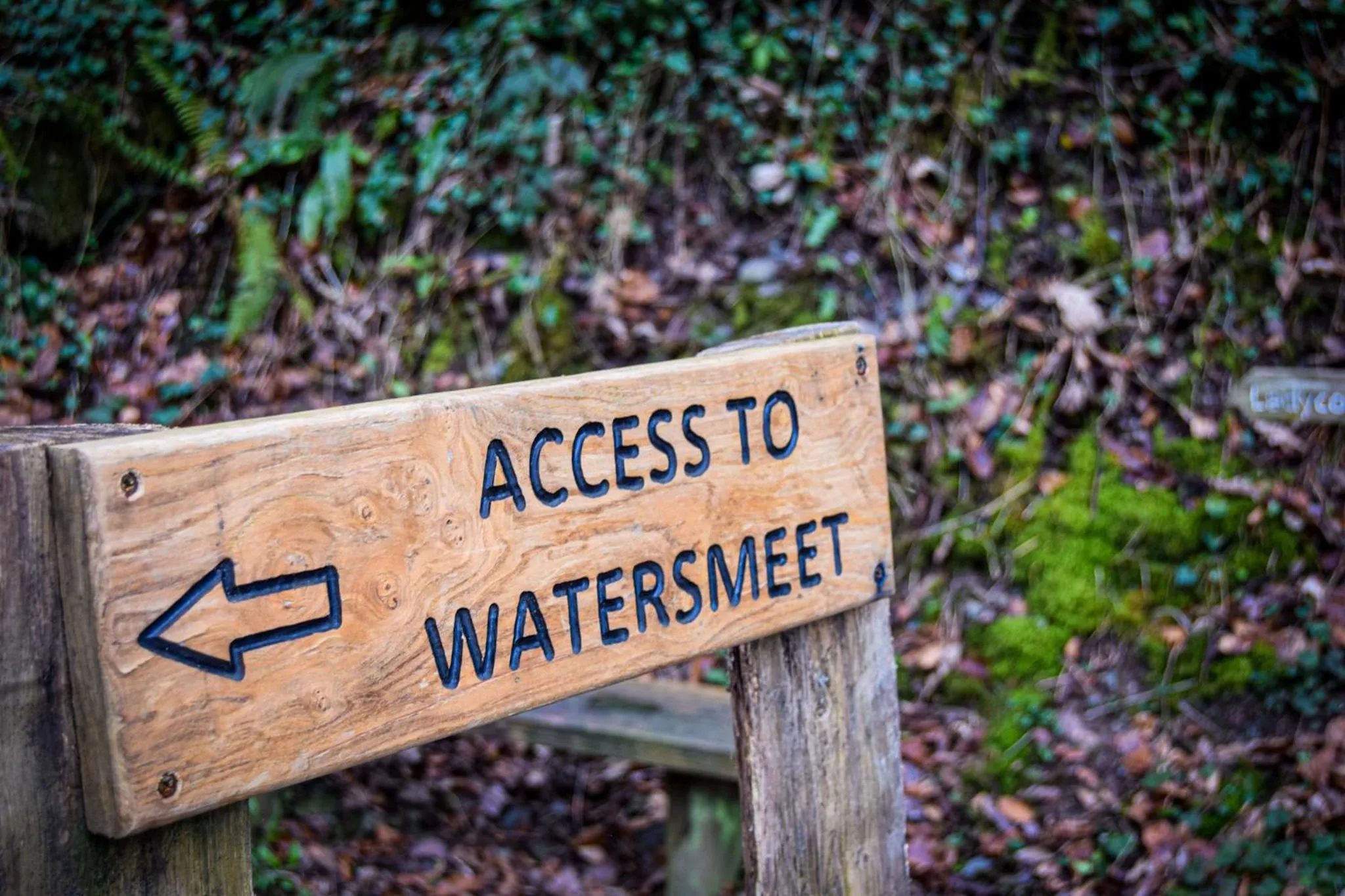 Day in Rising Sun Hotel