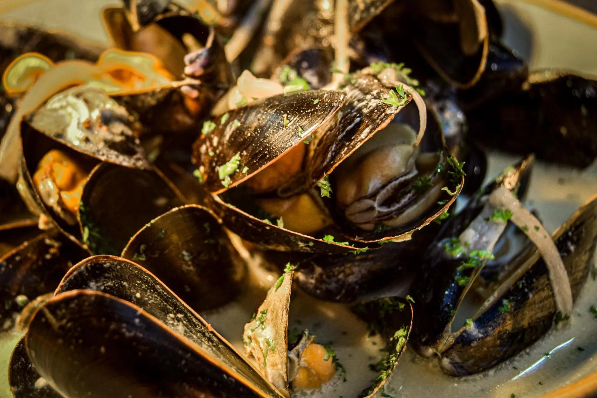 Restaurant/places to eat in Rising Sun Hotel