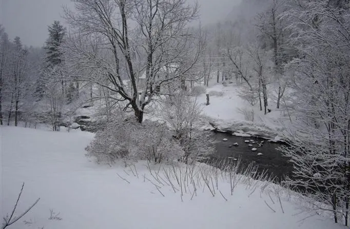 Natural landscape in Inn at Ellis River