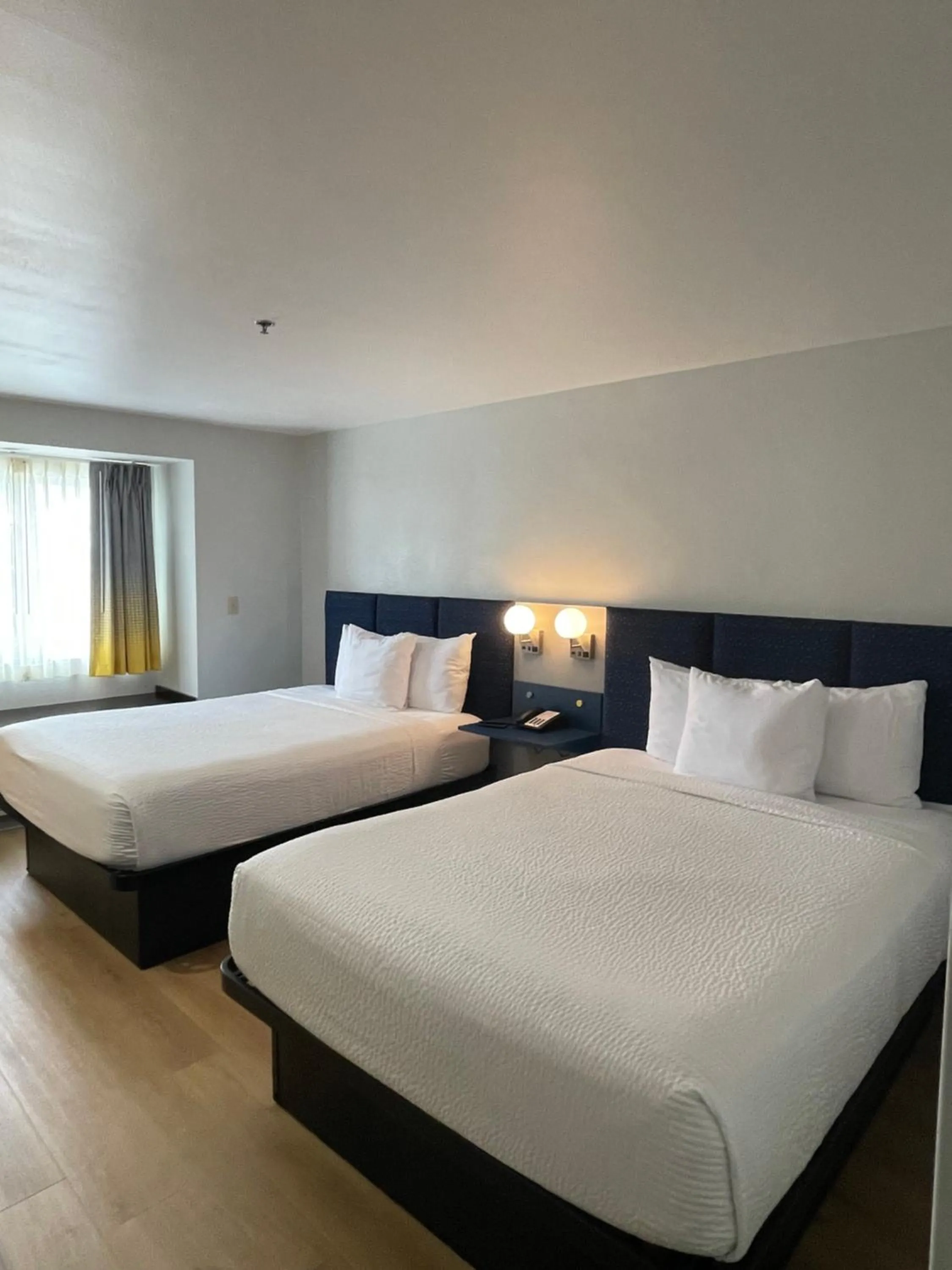 Bedroom, Bed in Microtel Inn and Suites Baton Rouge Airport