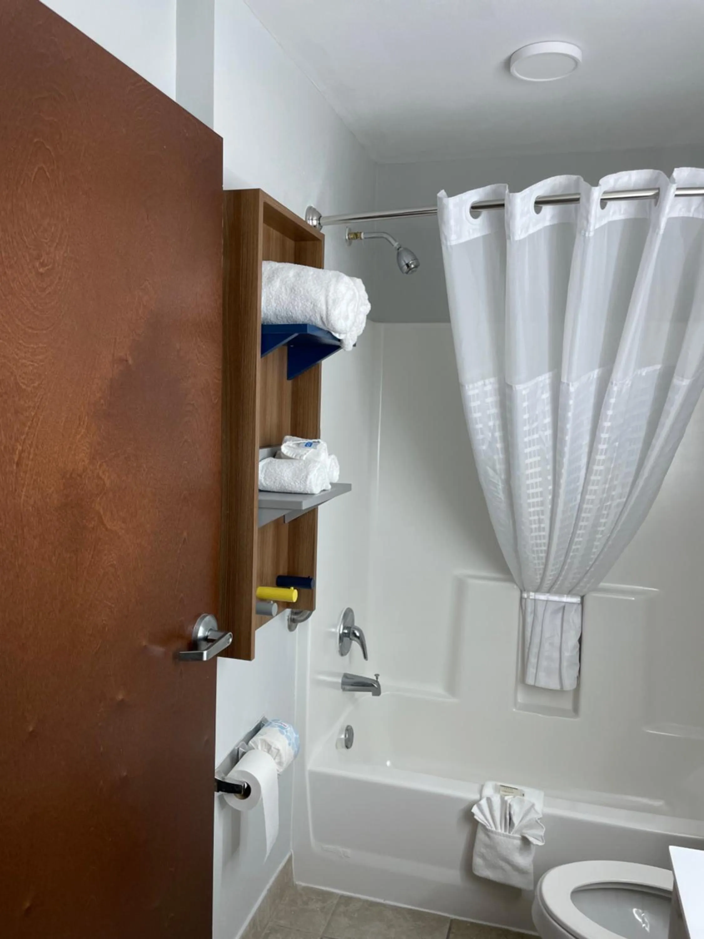 Shower in Microtel Inn and Suites Baton Rouge Airport