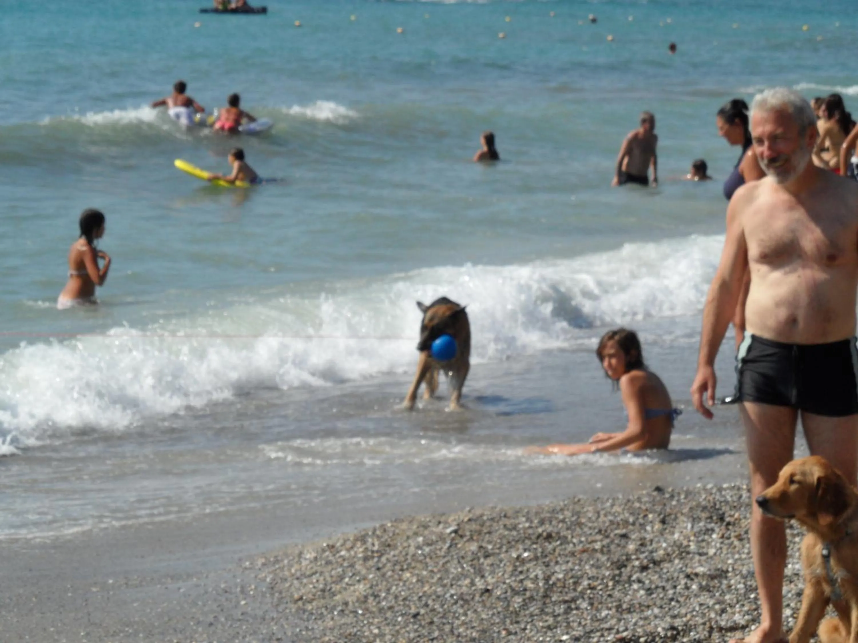 Pets in Residence Villa Alda