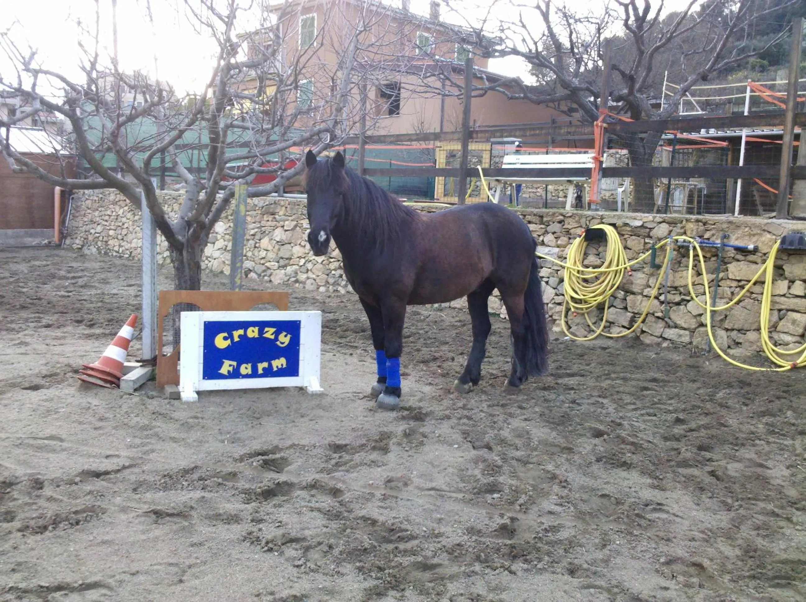 Animals in Residence Villa Alda