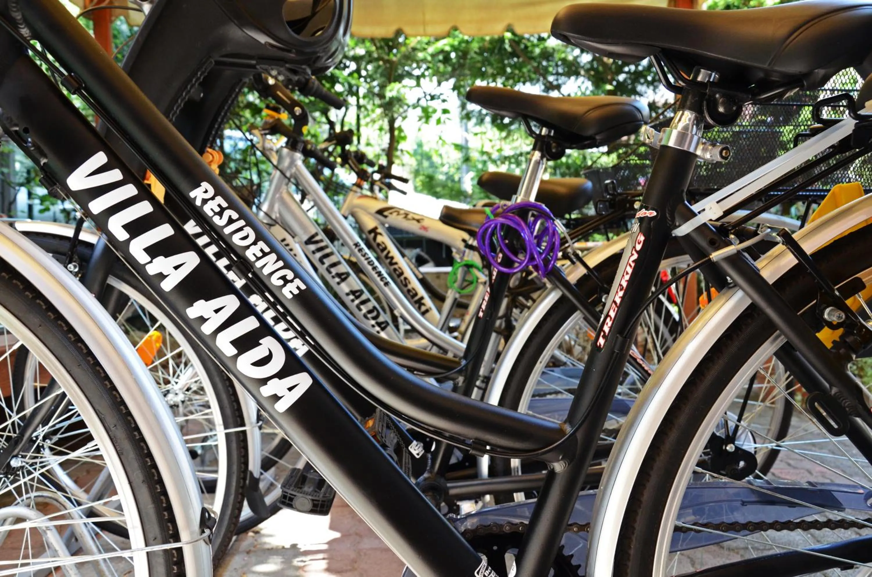 Cycling in Residence Villa Alda