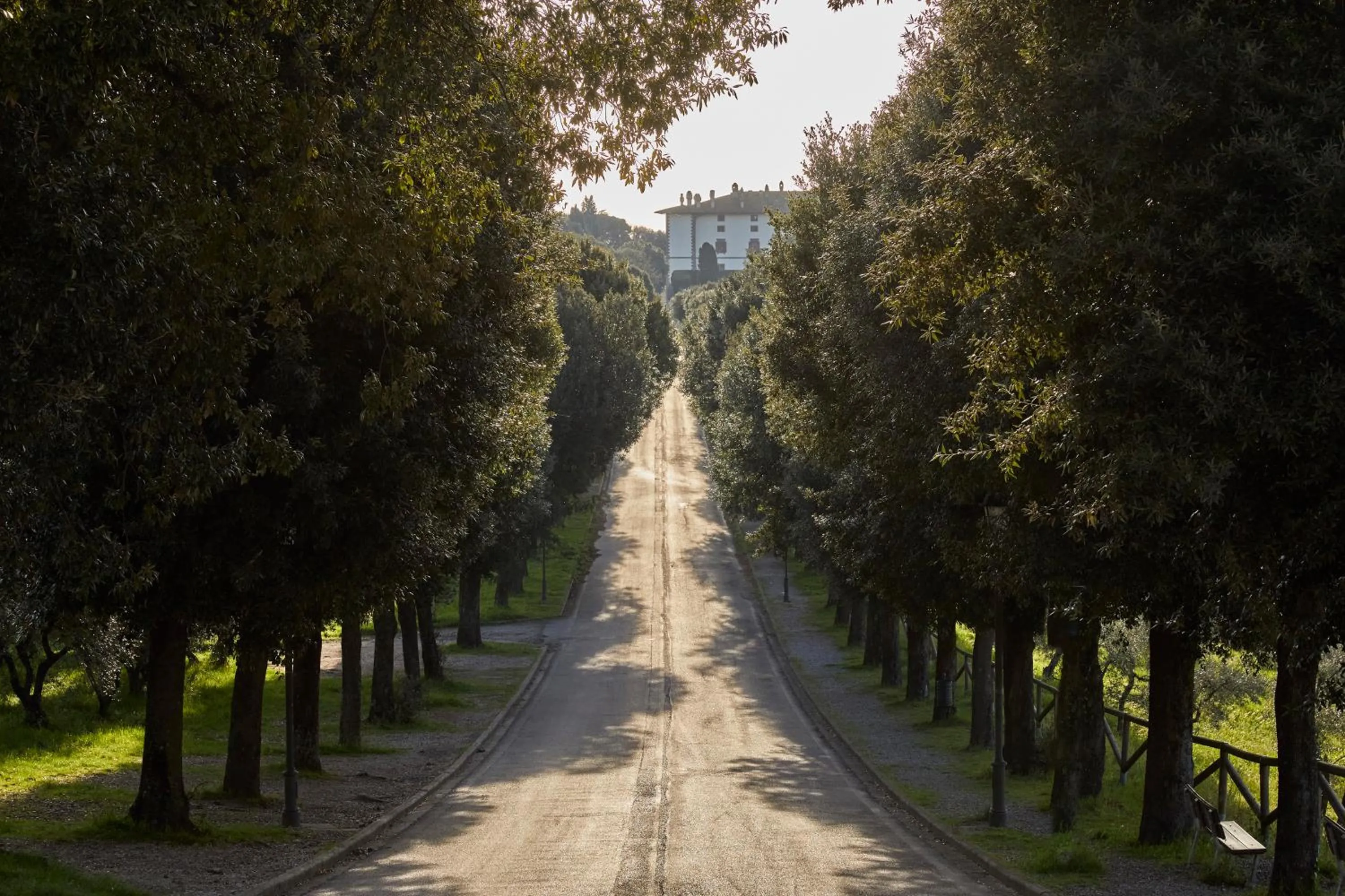 Natural landscape in Tenuta di Artimino member of Meliá Collection Wine Resort