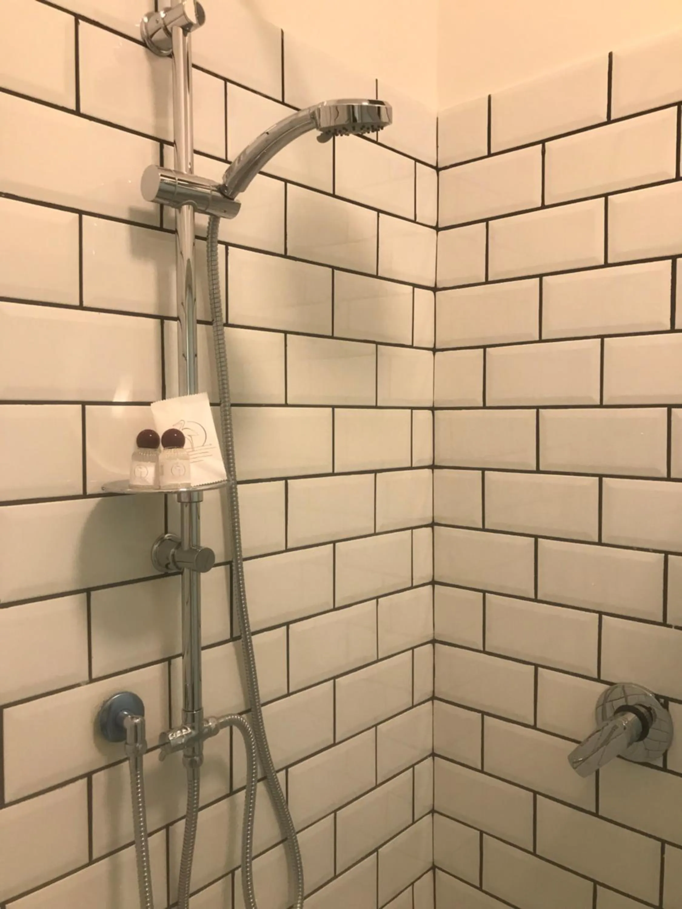 Shower in TreSette Toledo