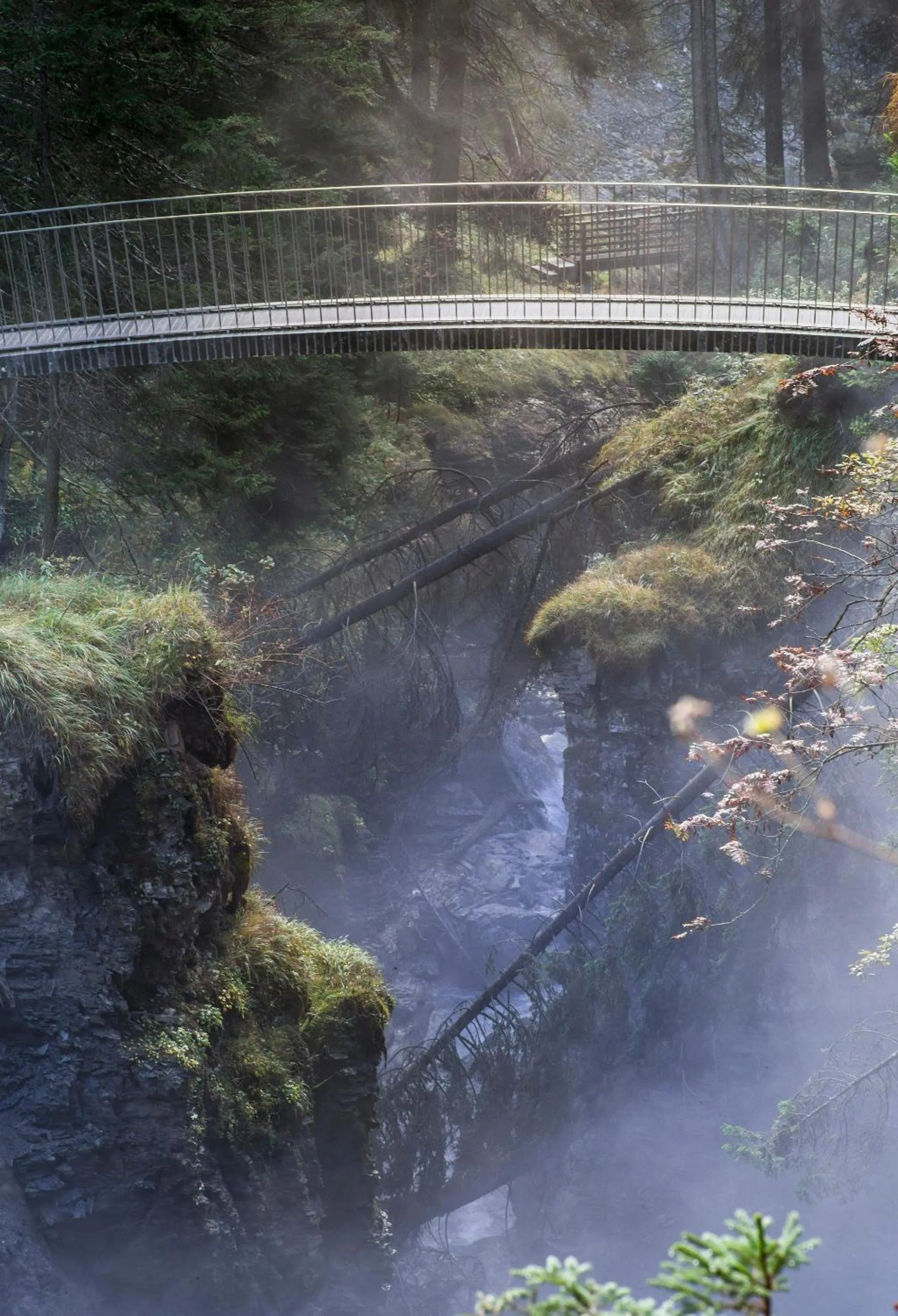Natural landscape in Soldanella by Hotel Adula