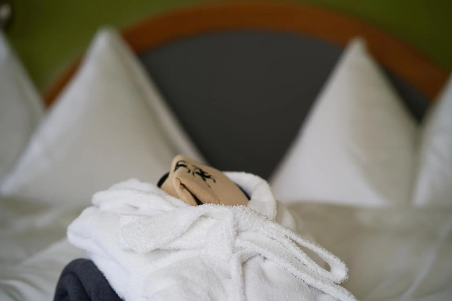 Bed in Soldanella by Hotel Adula