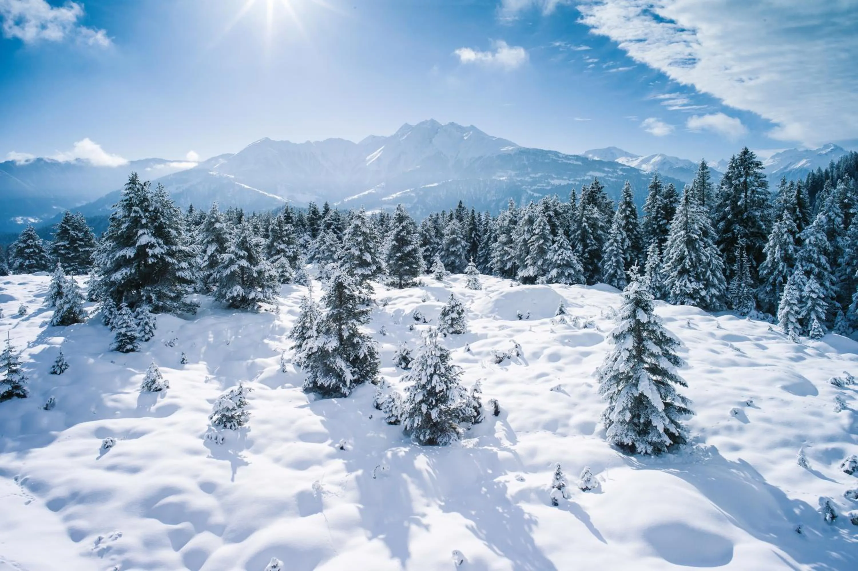 Winter in Soldanella by Hotel Adula