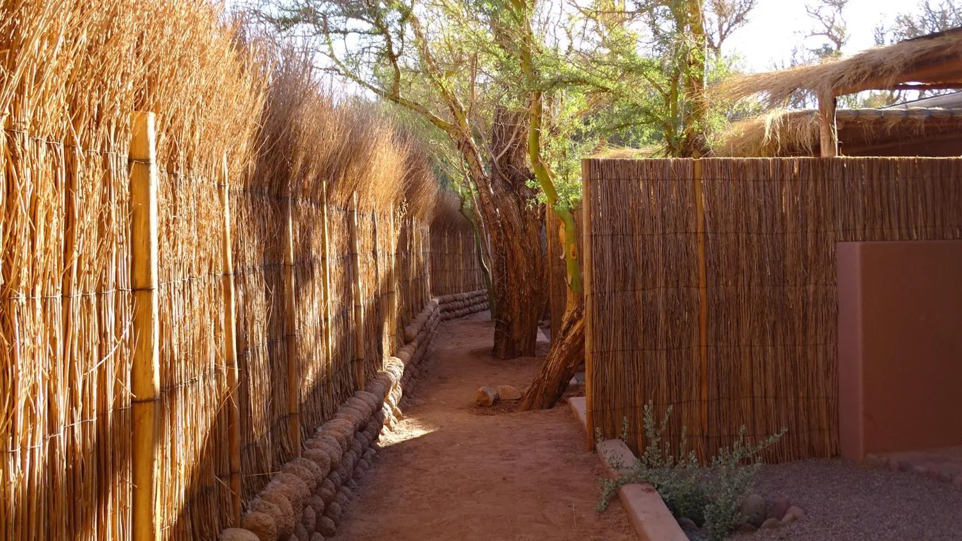 Garden in Naturalis Hotel