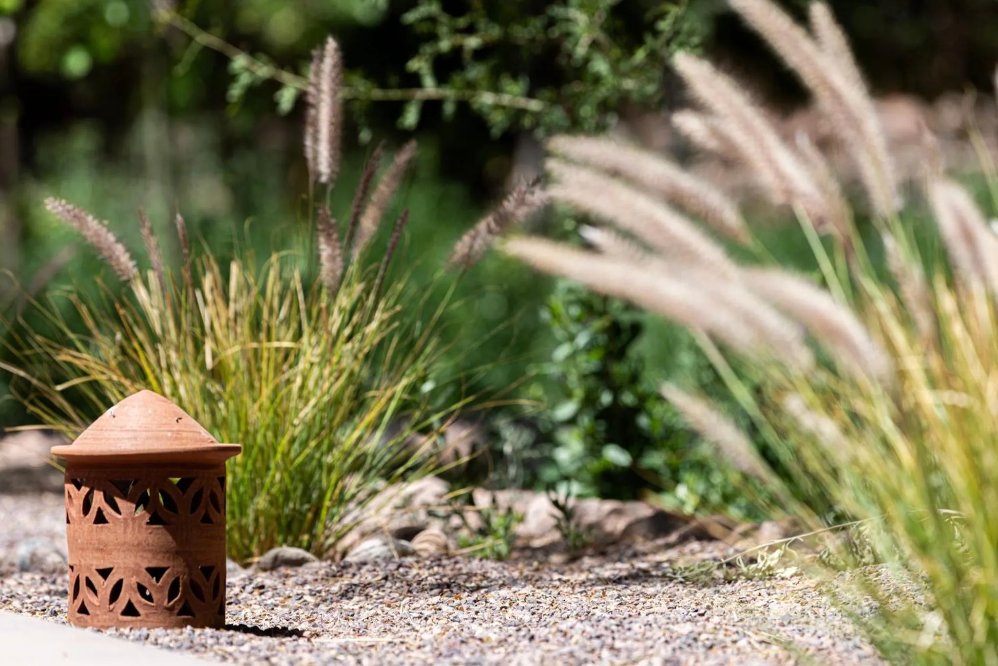 Day in Naturalis Hotel