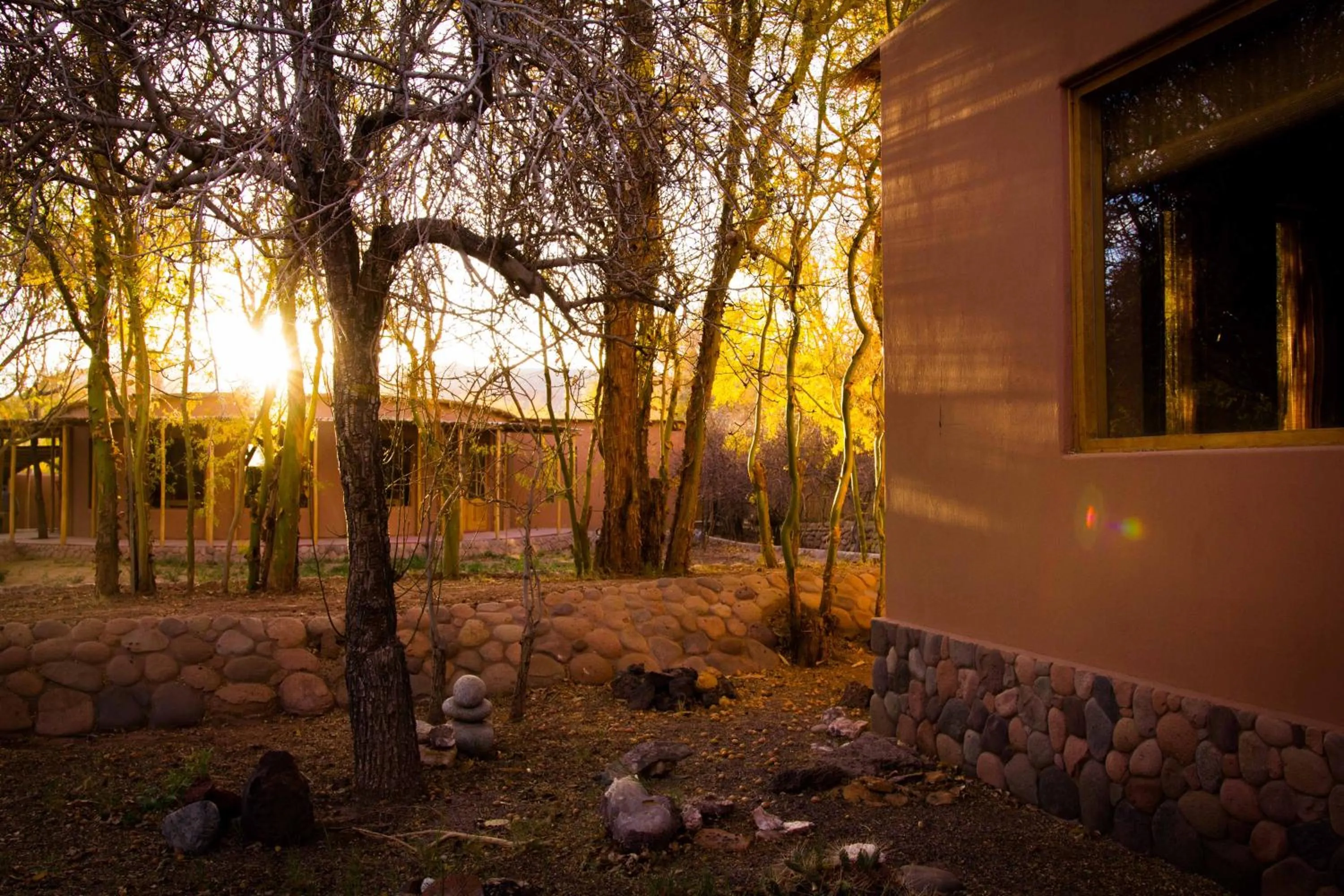 Property building in Naturalis Hotel
