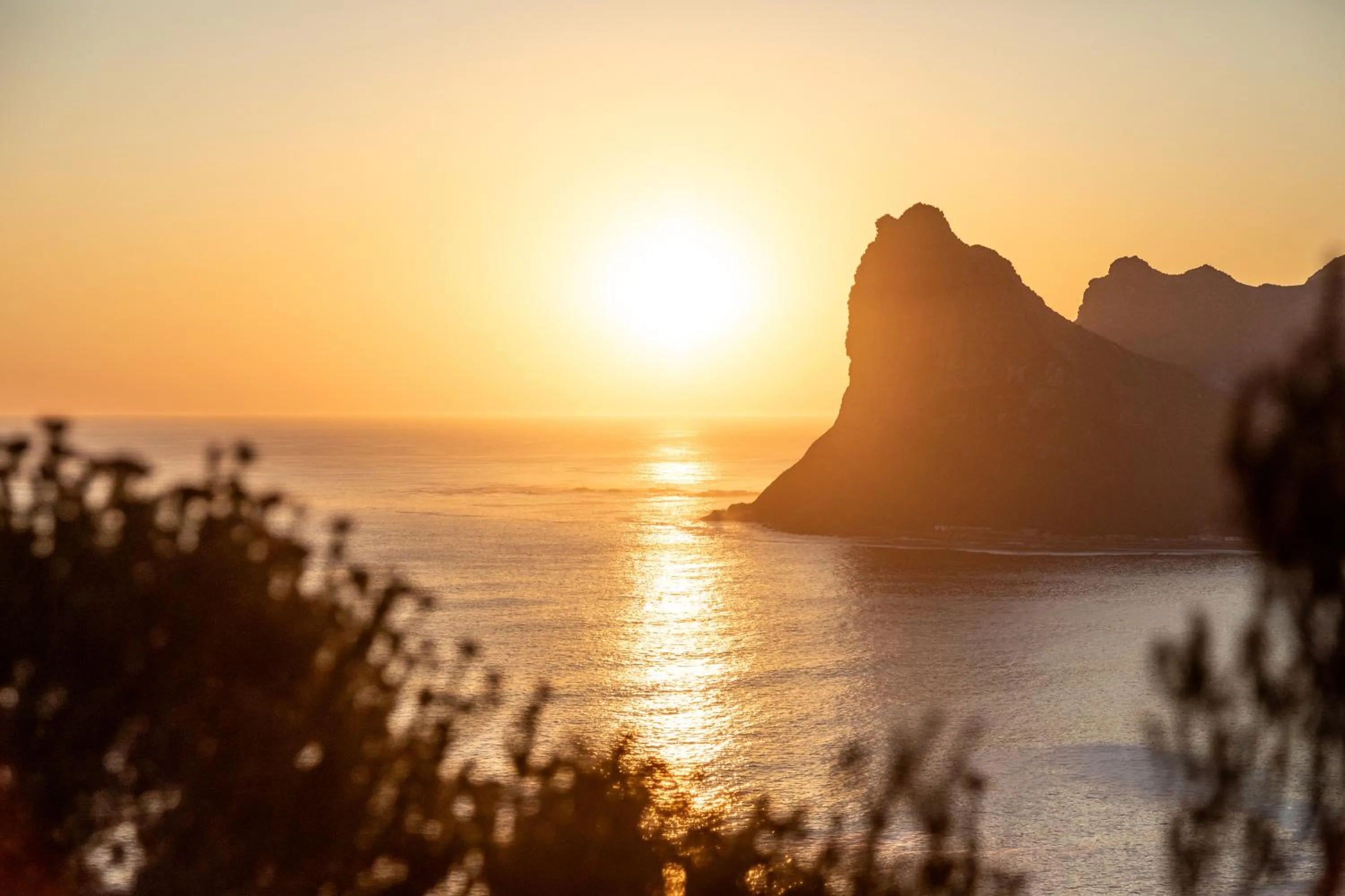 Natural landscape in Acorn House